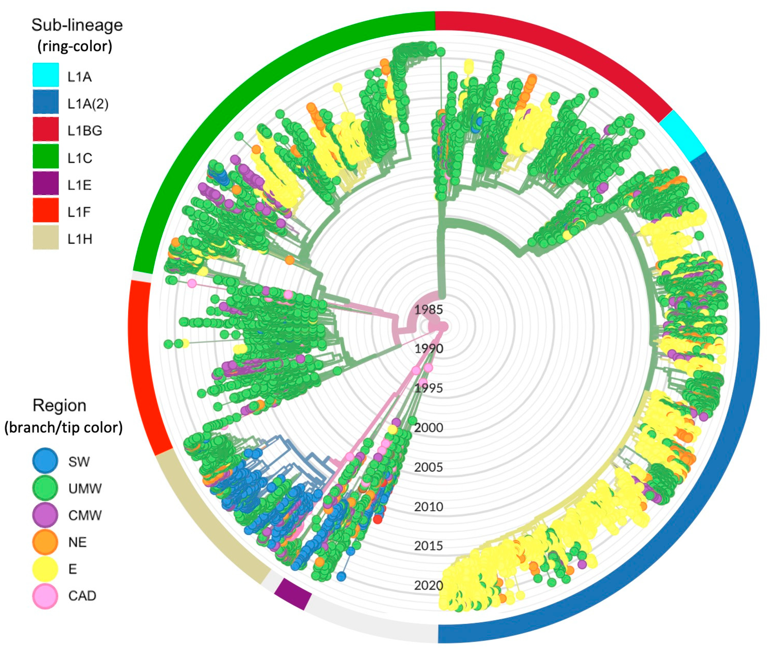 Pathogens 12 00740 g003