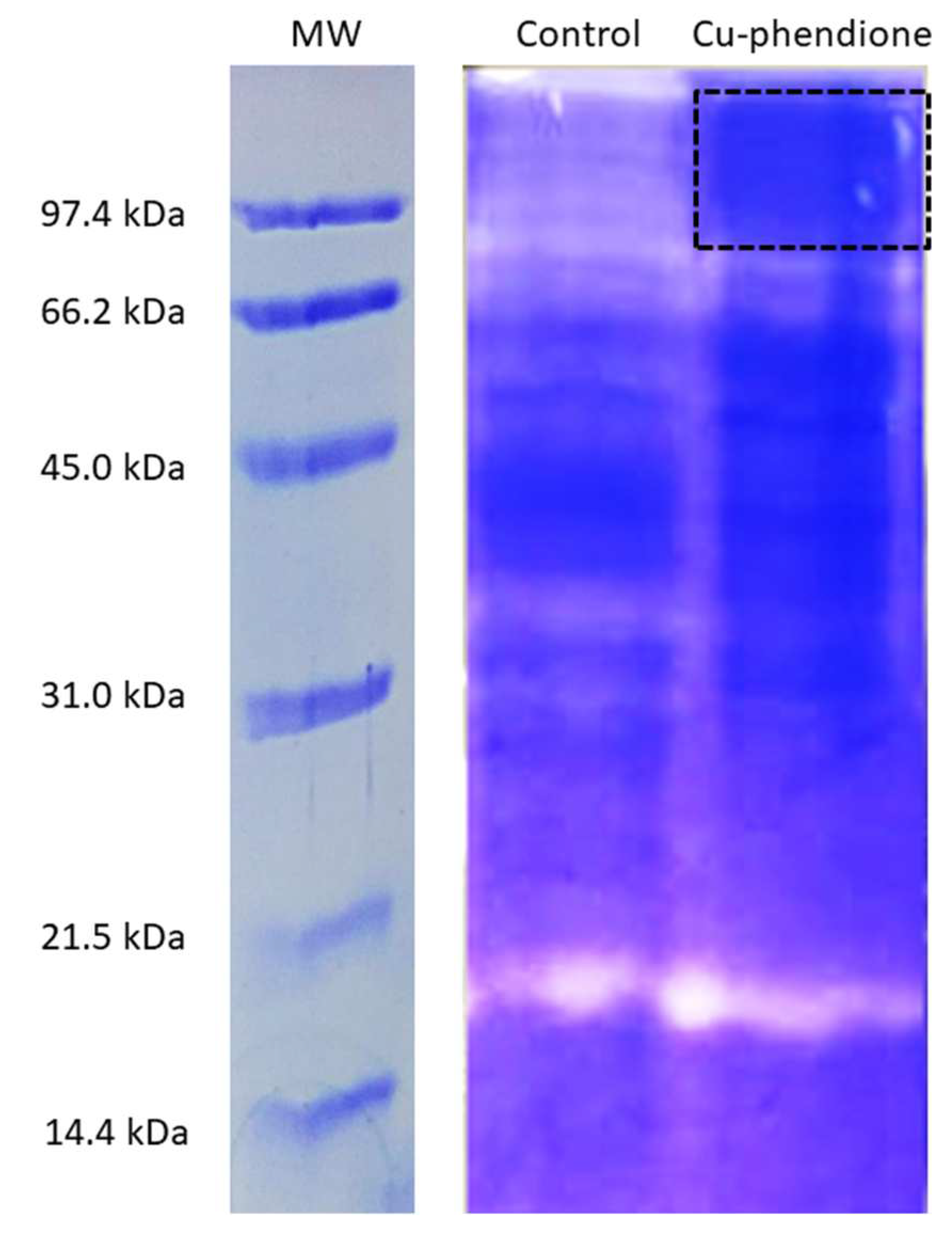 Pathogens 12 00745 g006