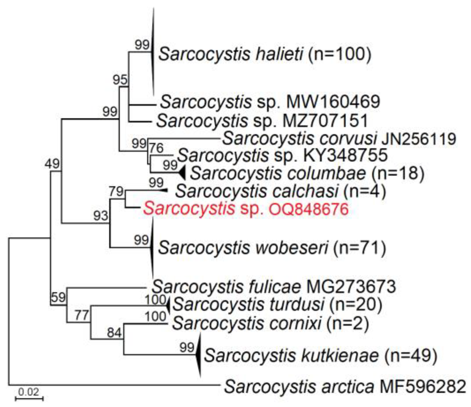 Pathogens 12 00752 g002 Pathogens 12 00752 g002