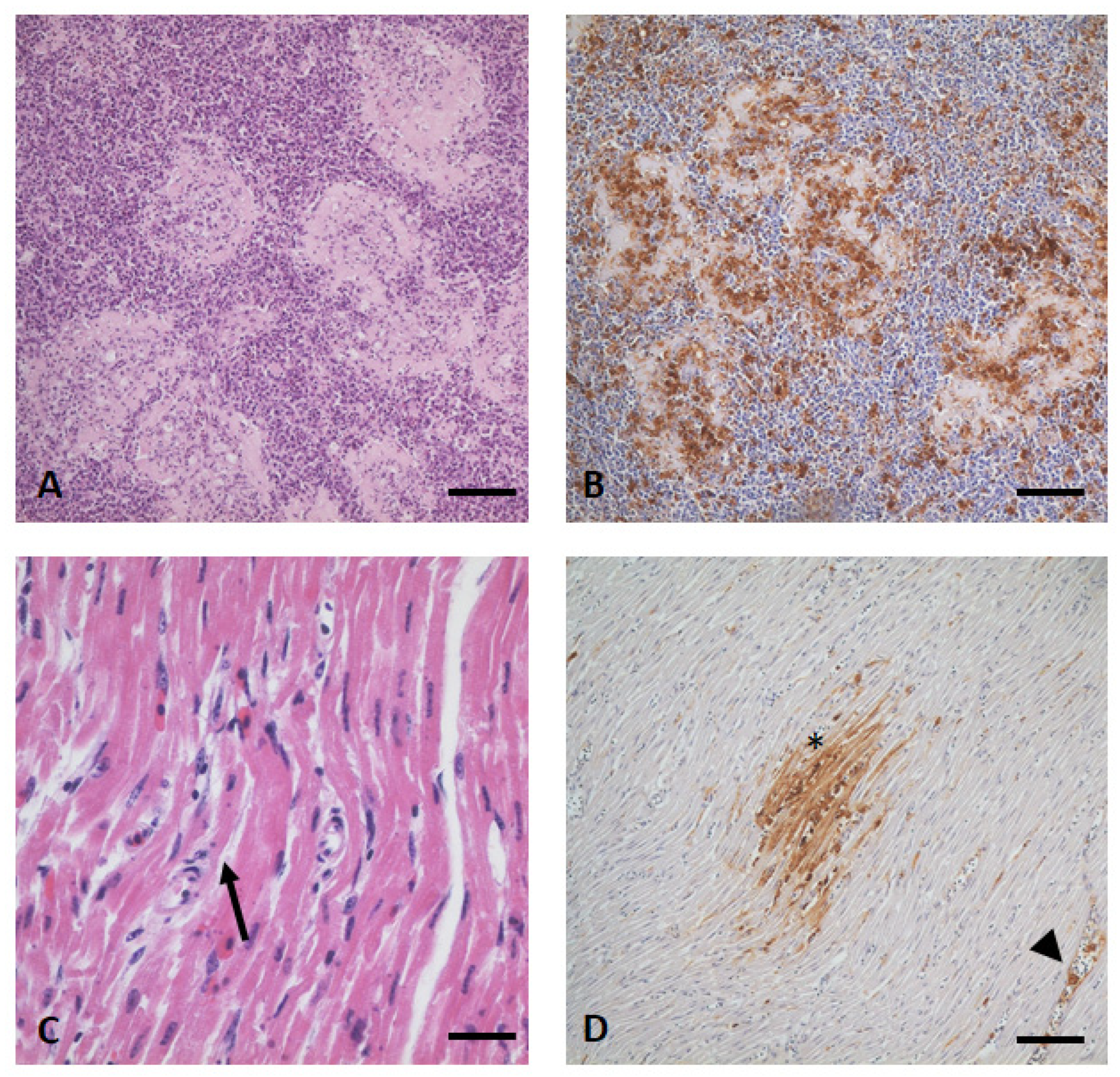 Pathogens 12 00753 g006 Pathogens 12 00753 g006