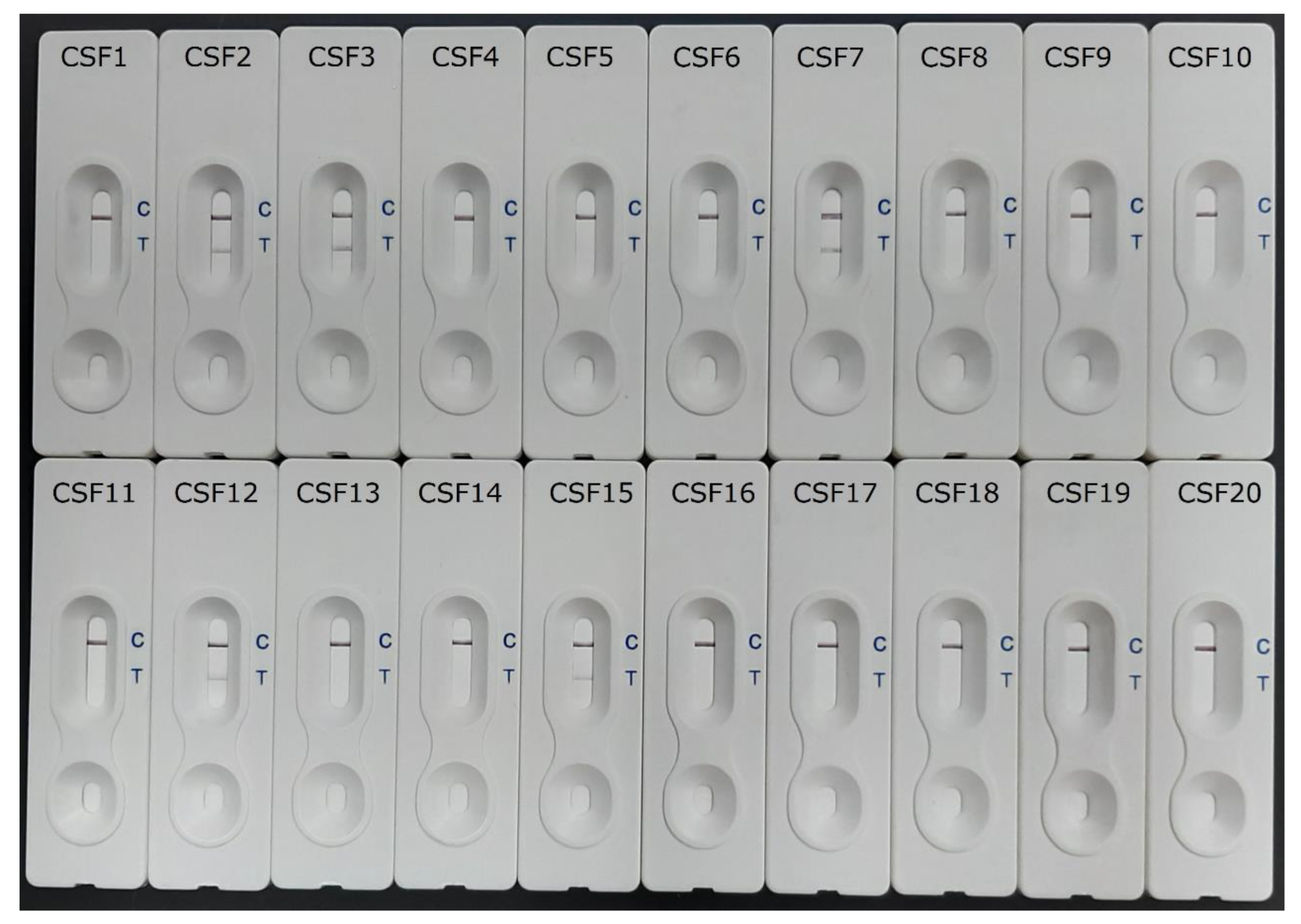 Pathogens 12 00762 g001 Pathogens 12 00762 g001