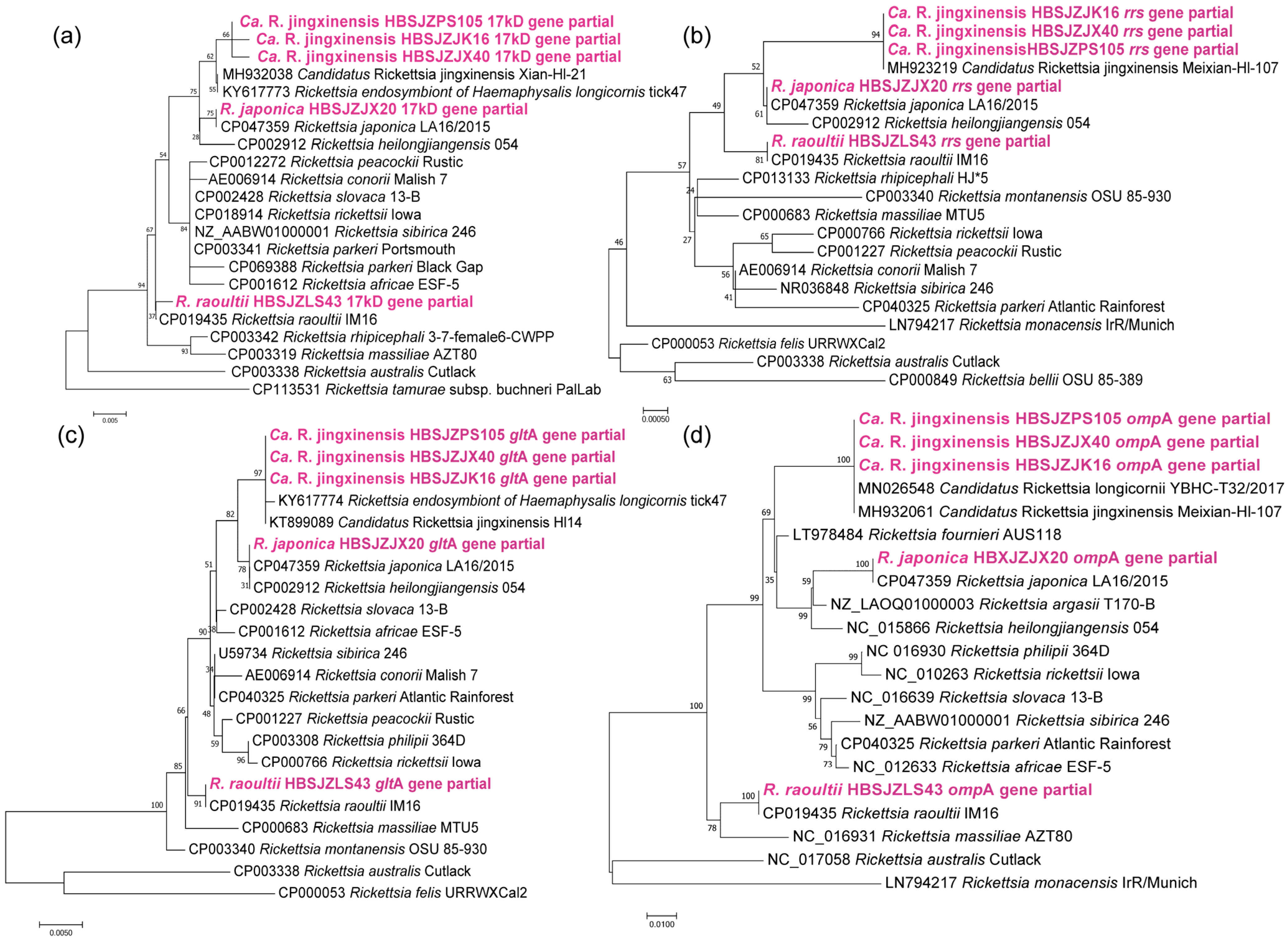 Pathogens 12 00763 g002