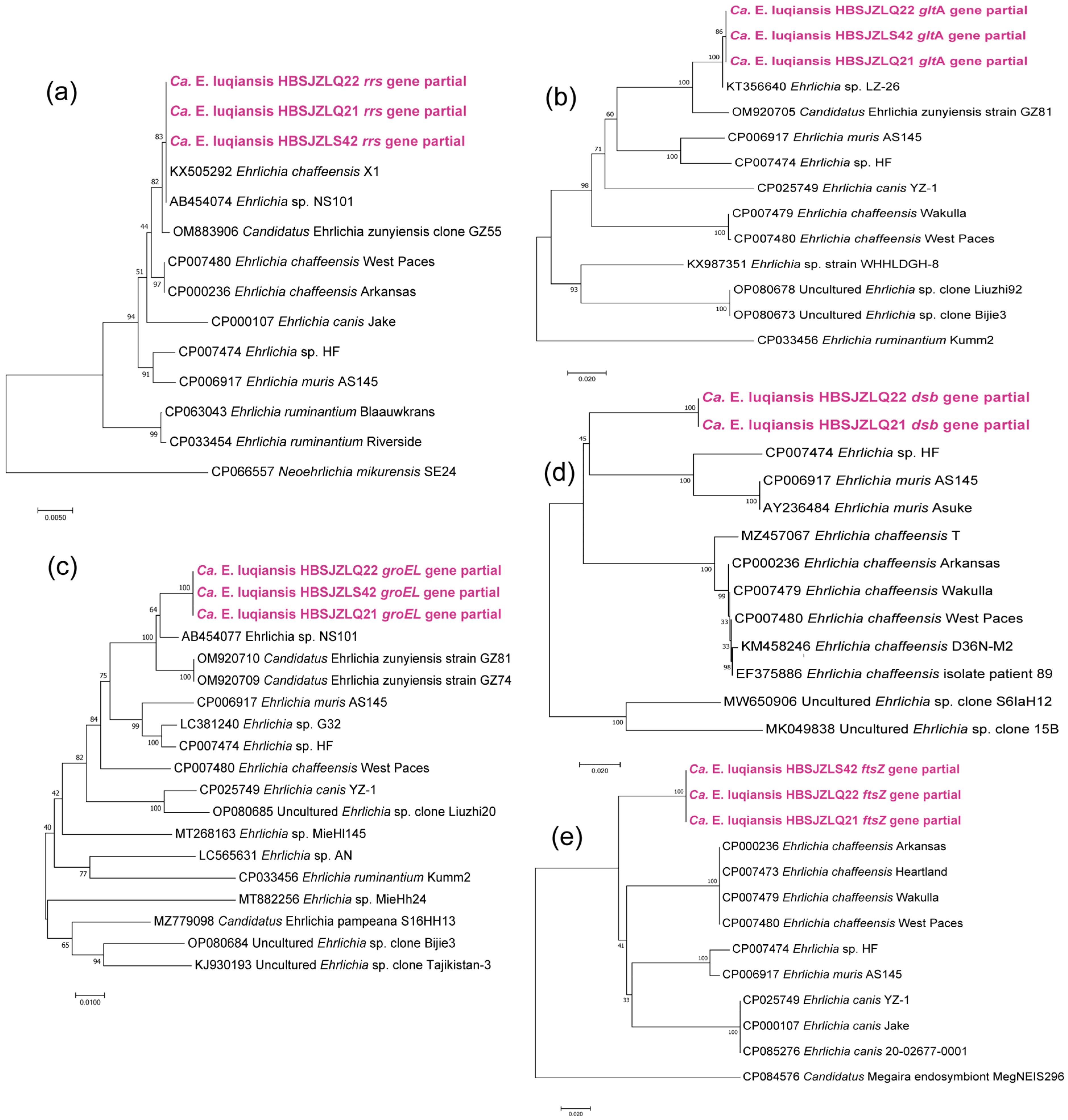 Pathogens 12 00763 g004