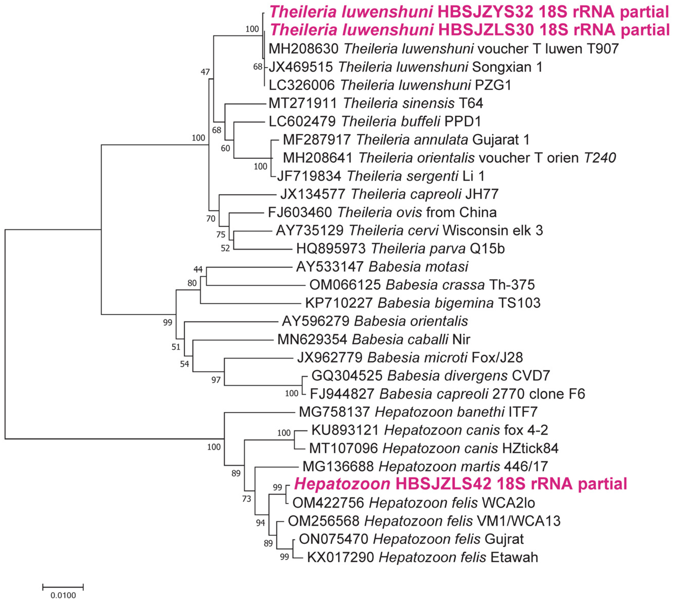 Pathogens 12 00763 g006