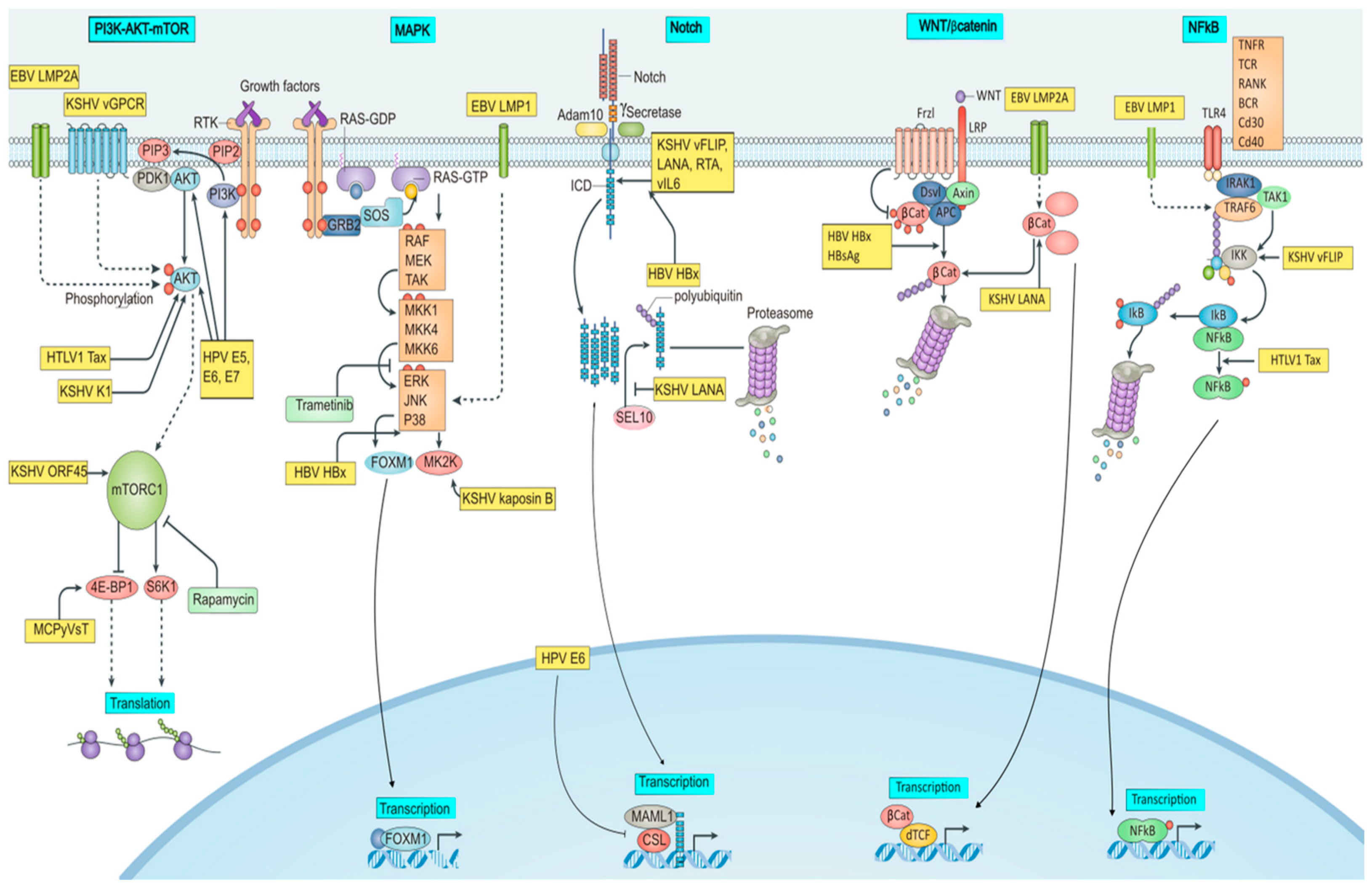 Pathogens 12 00770 g001 Pathogens 12 00770 g001