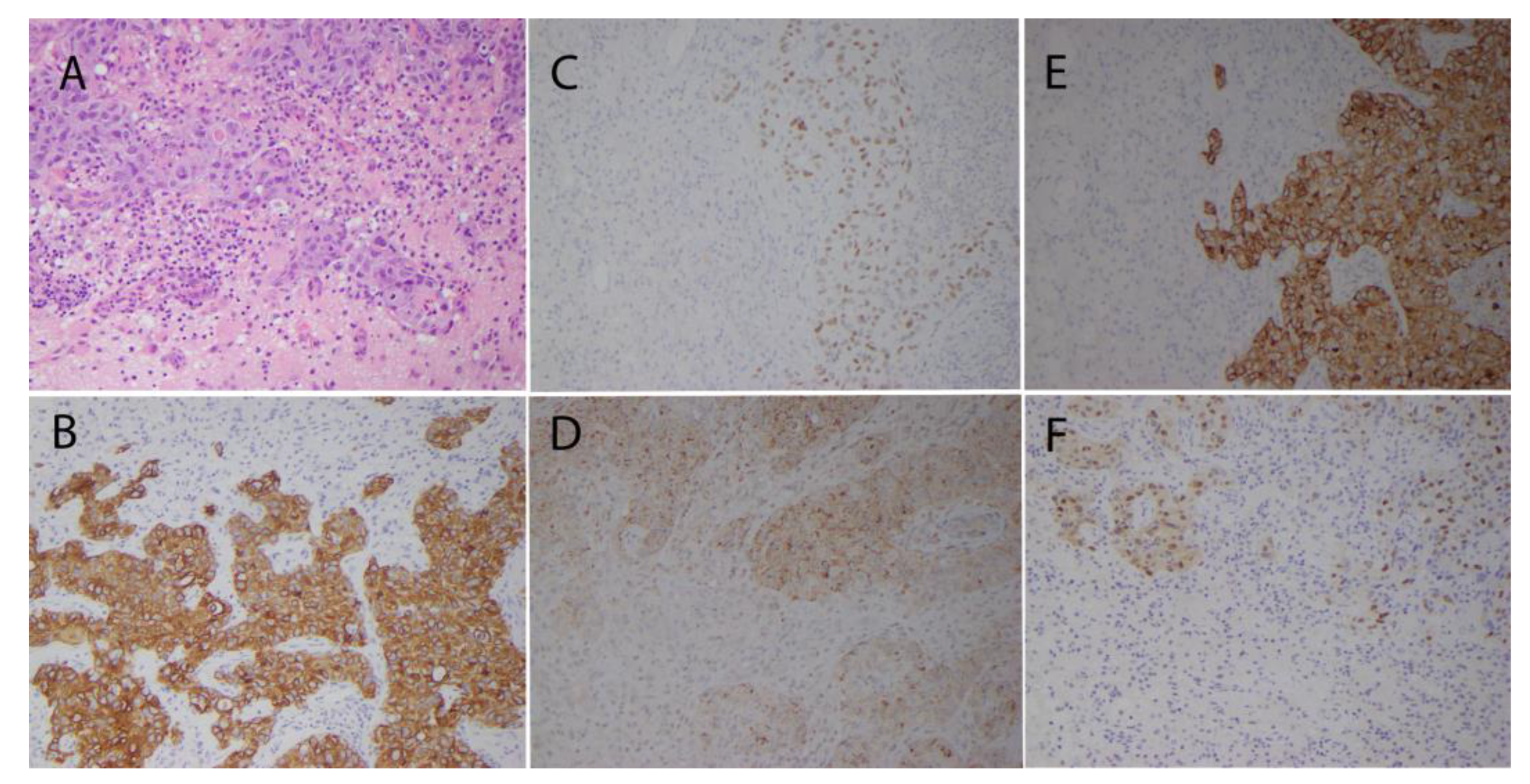 Pathogens 12 00772 g002 Pathogens 12 00772 g002