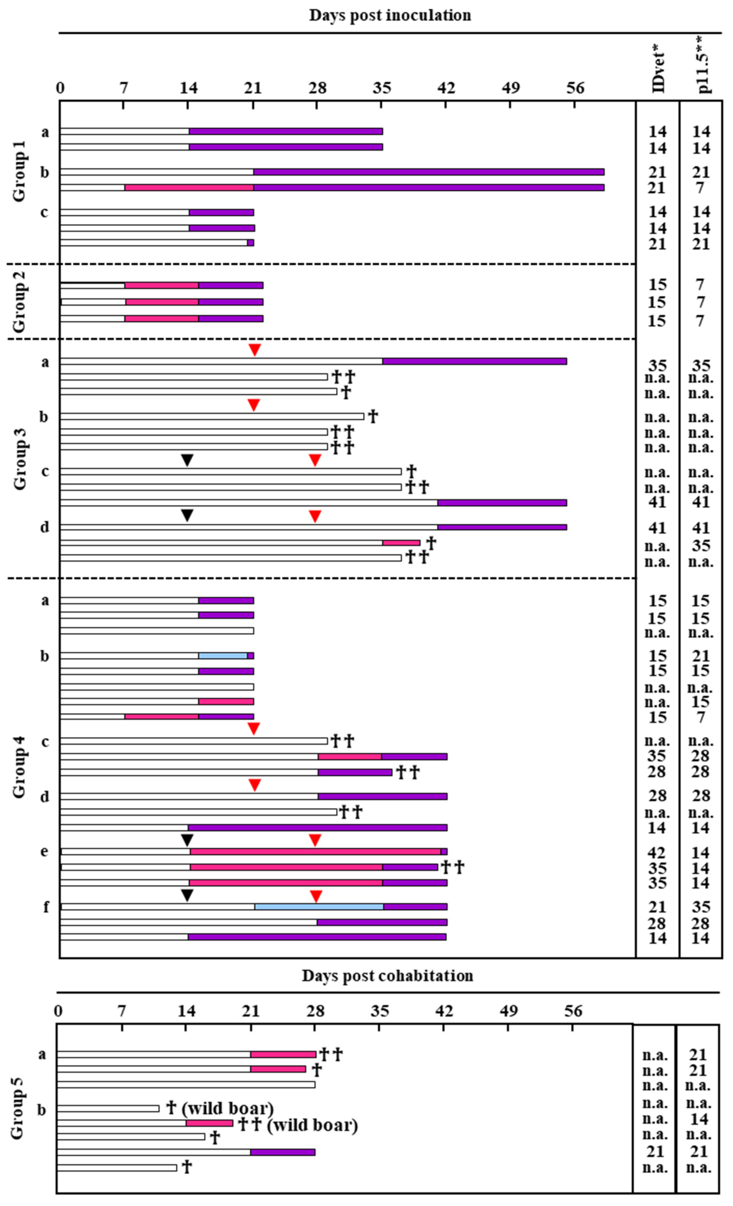 Pathogens 12 00774 g004 Pathogens 12 00774 g004