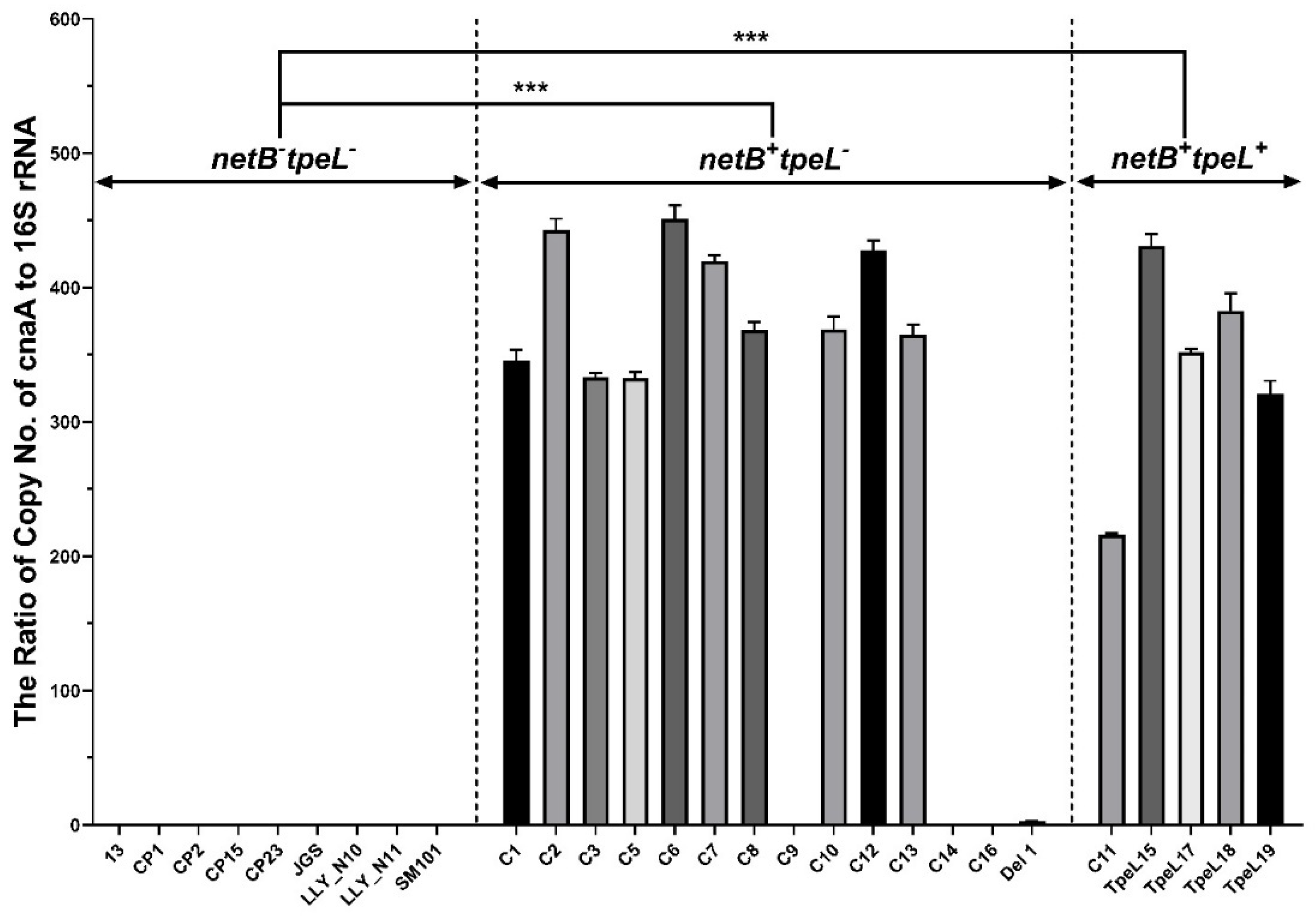 Pathogens 12 00778 g002 Pathogens 12 00778 g002