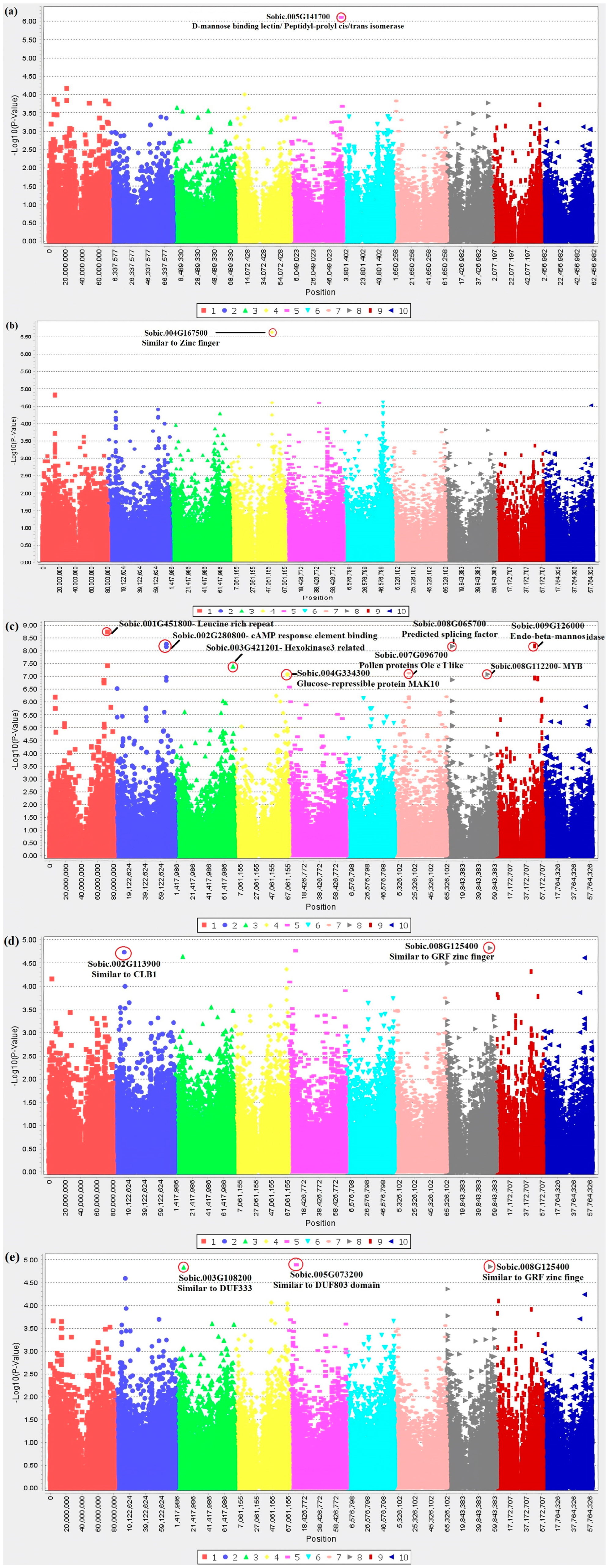 Pathogens 12 00779 g001 Pathogens 12 00779 g001