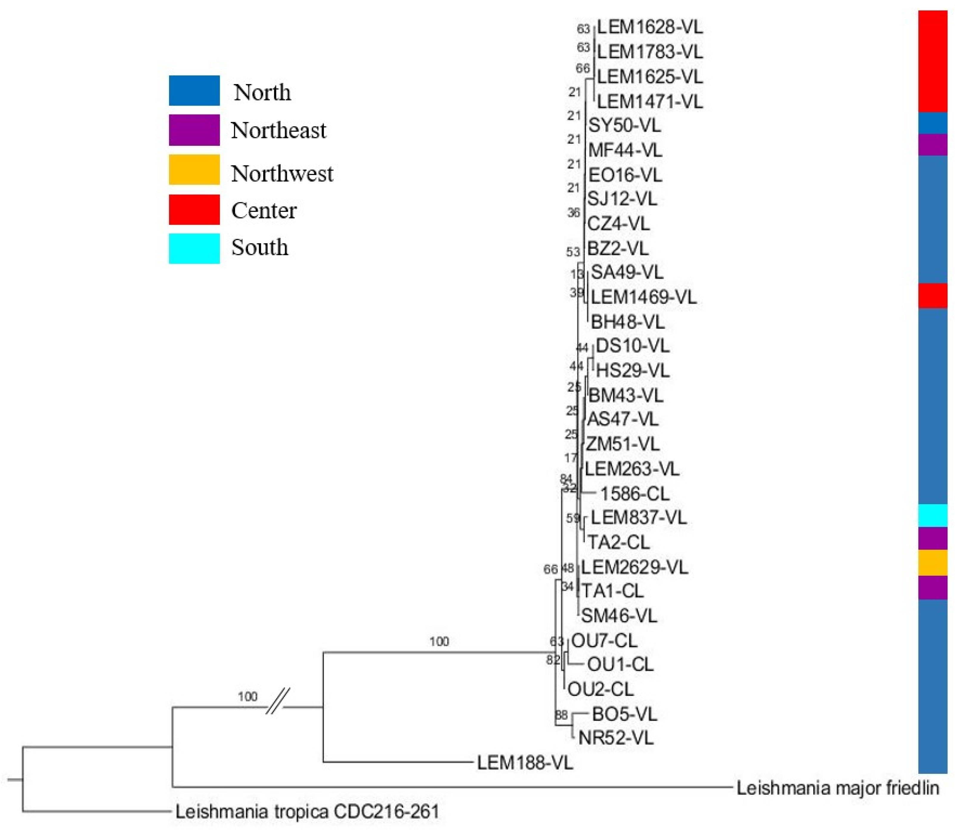 Pathogens 12 00785 g003 Pathogens 12 00785 g003