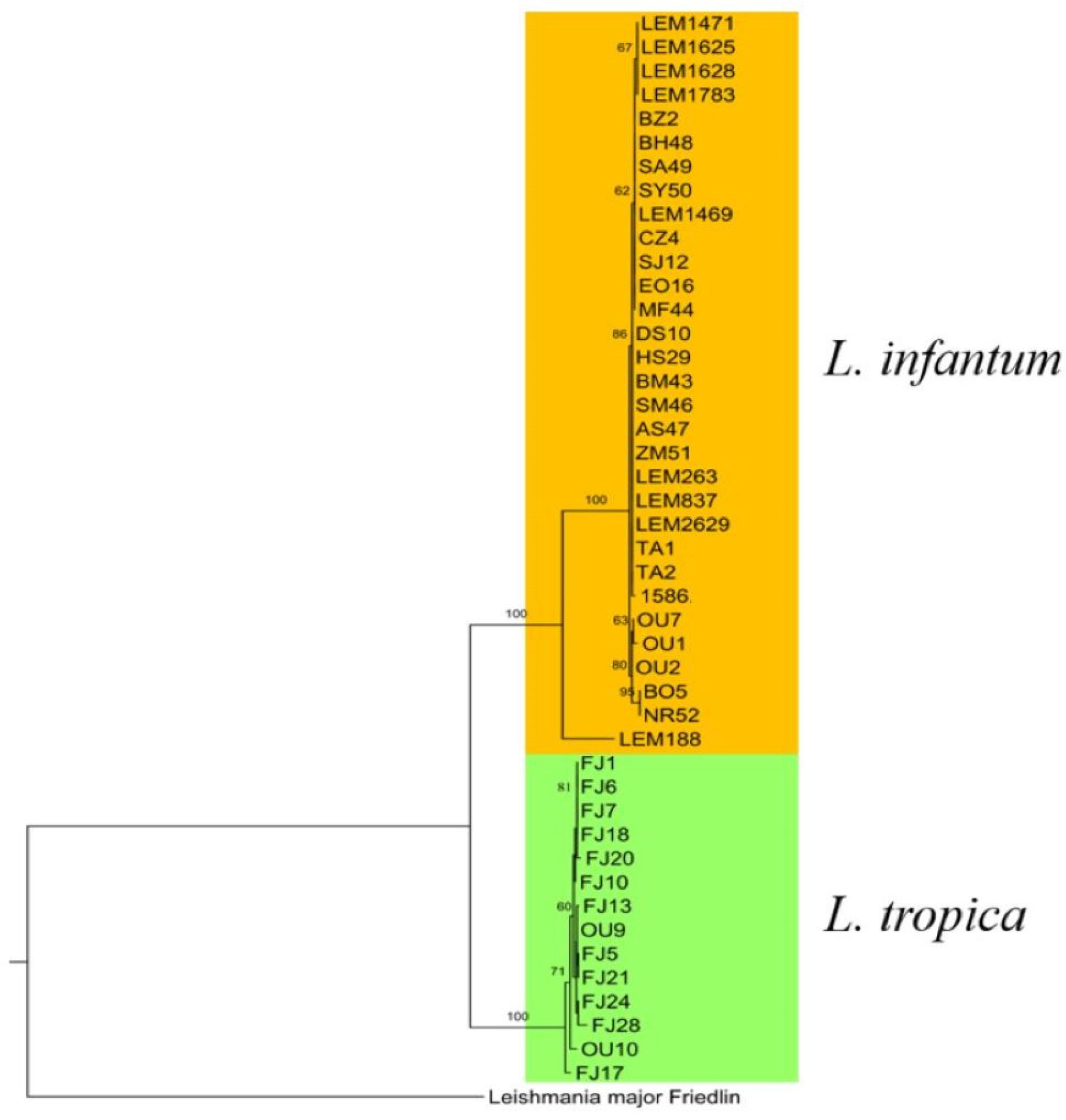 Pathogens 12 00785 g006 Pathogens 12 00785 g006