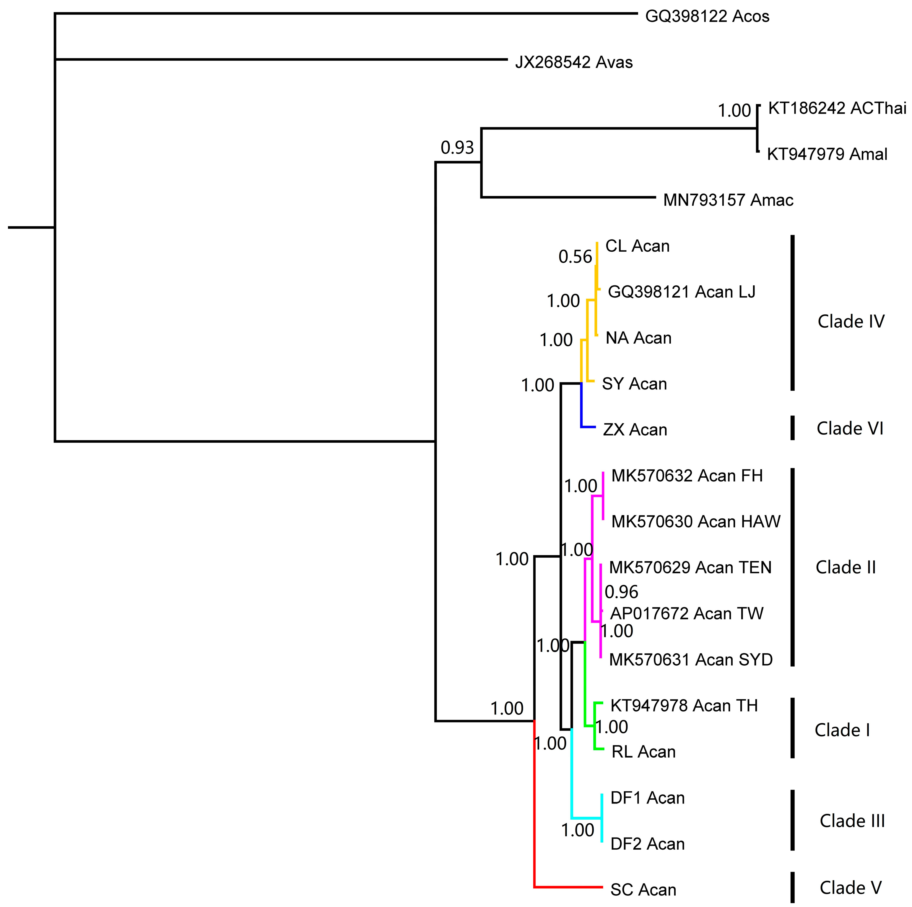 Pathogens 12 00788 g001