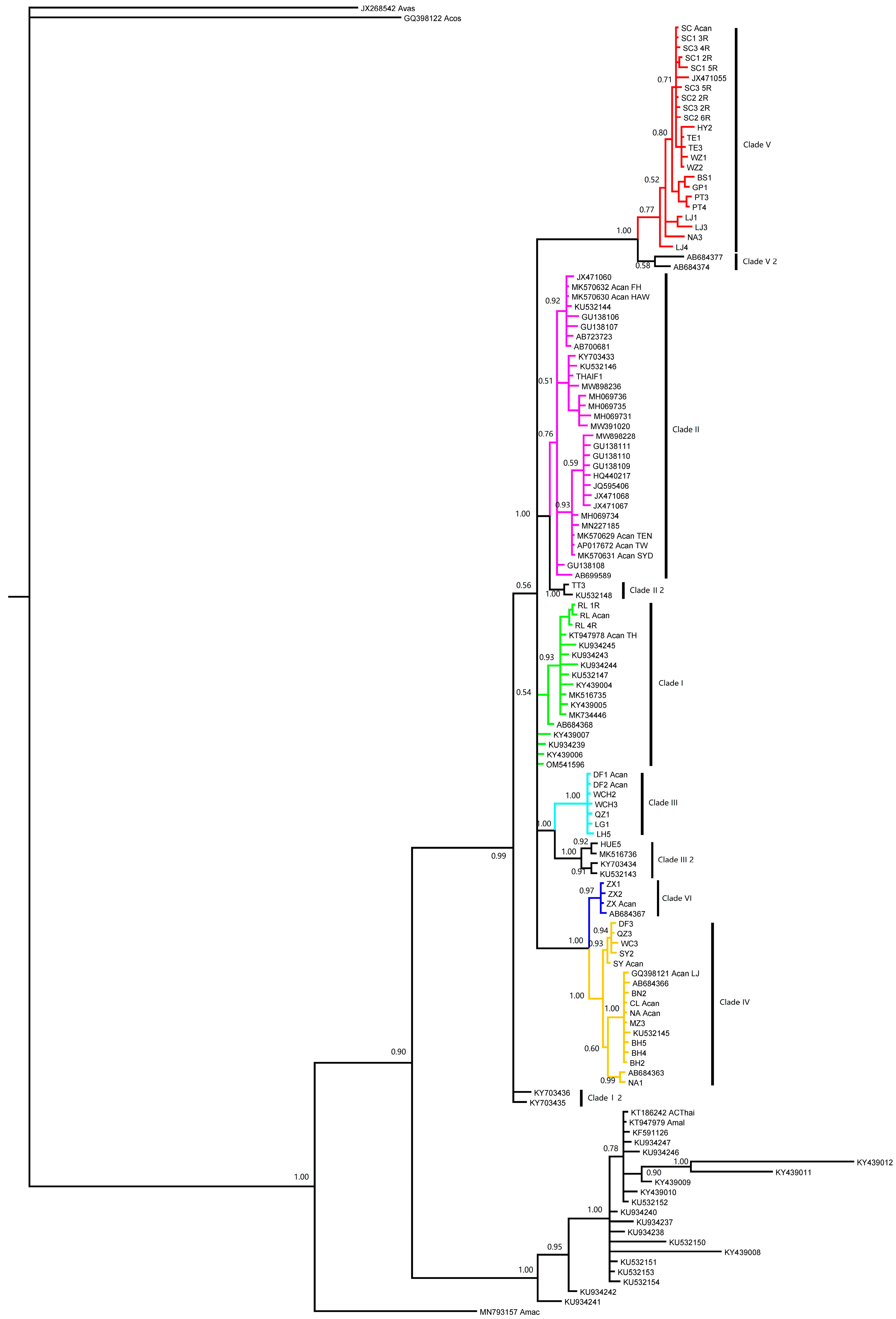 Pathogens 12 00788 g002