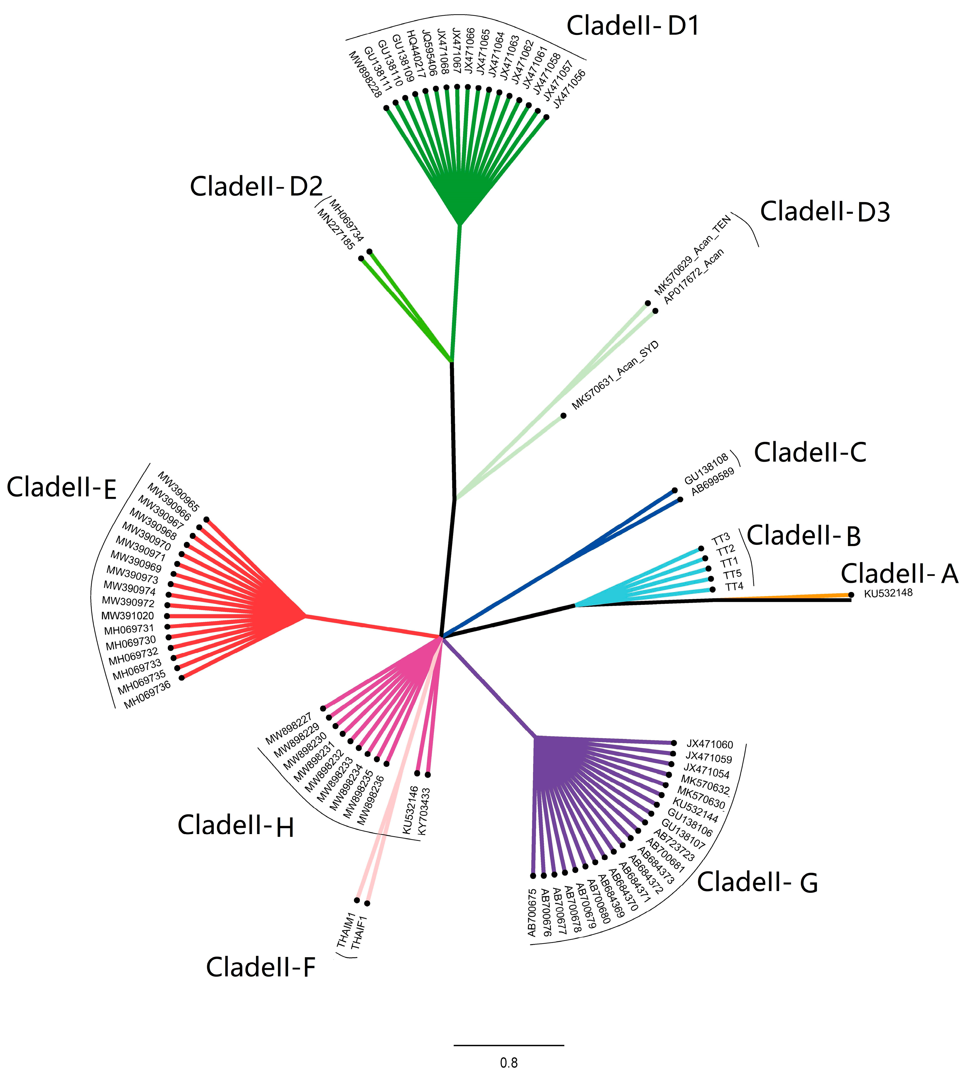 Pathogens 12 00788 g008