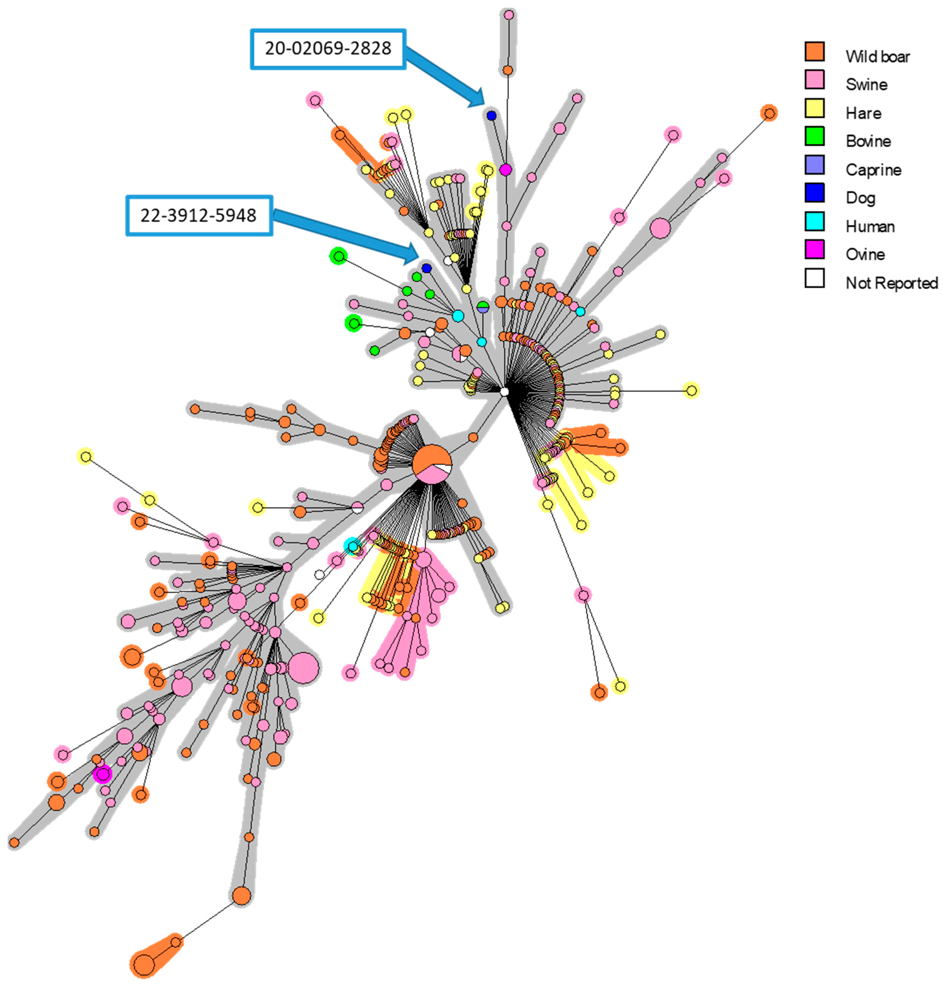Pathogens 12 00792 g001 Pathogens 12 00792 g001