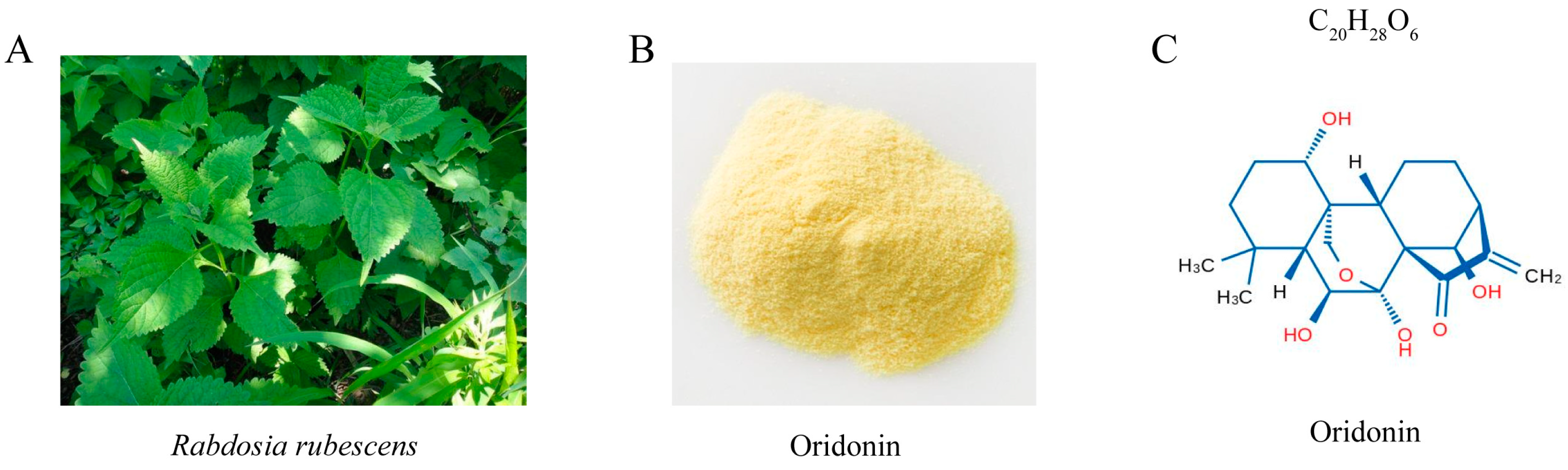 Pathogens 12 00799 g001