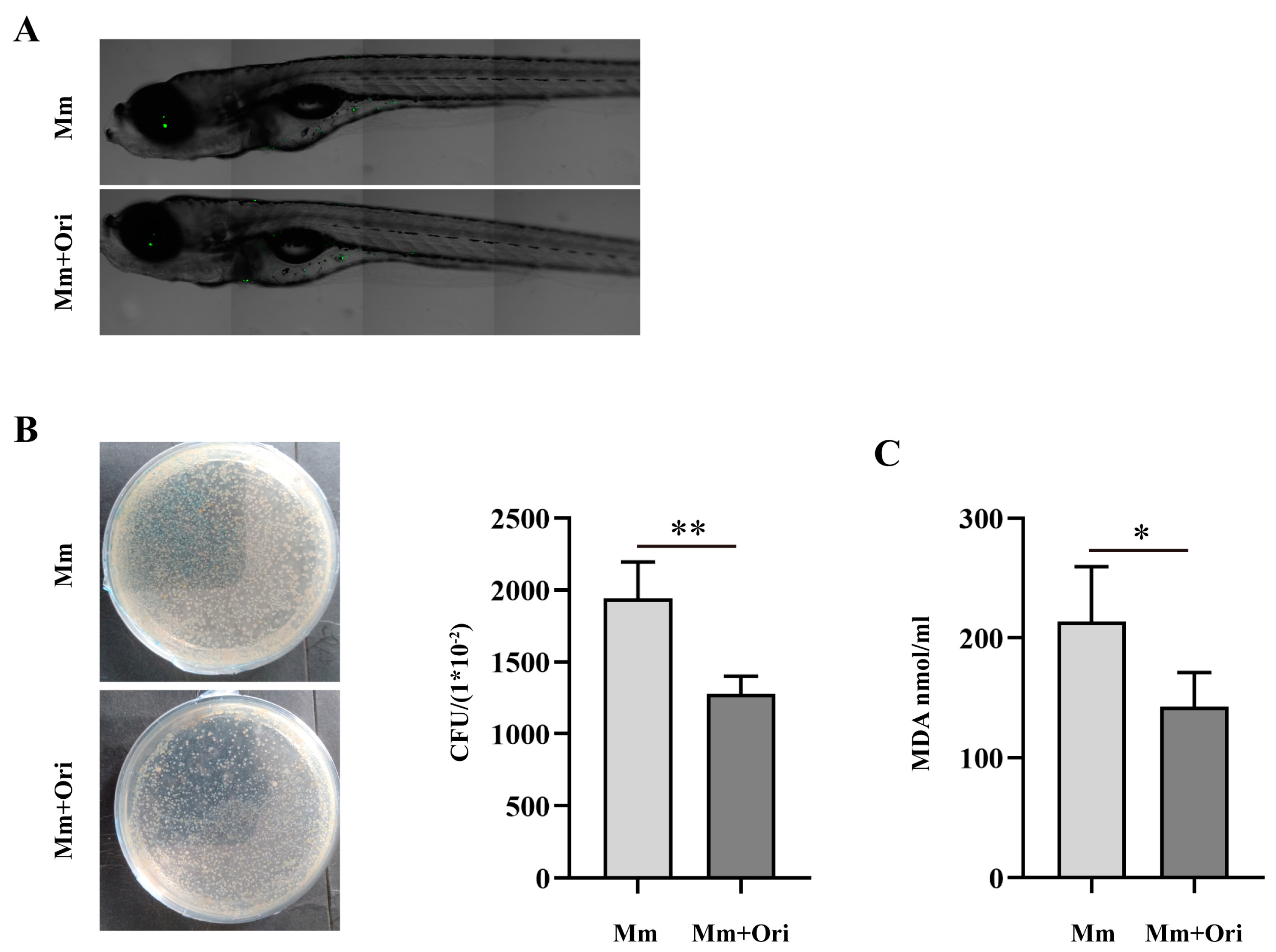 Pathogens 12 00799 g004