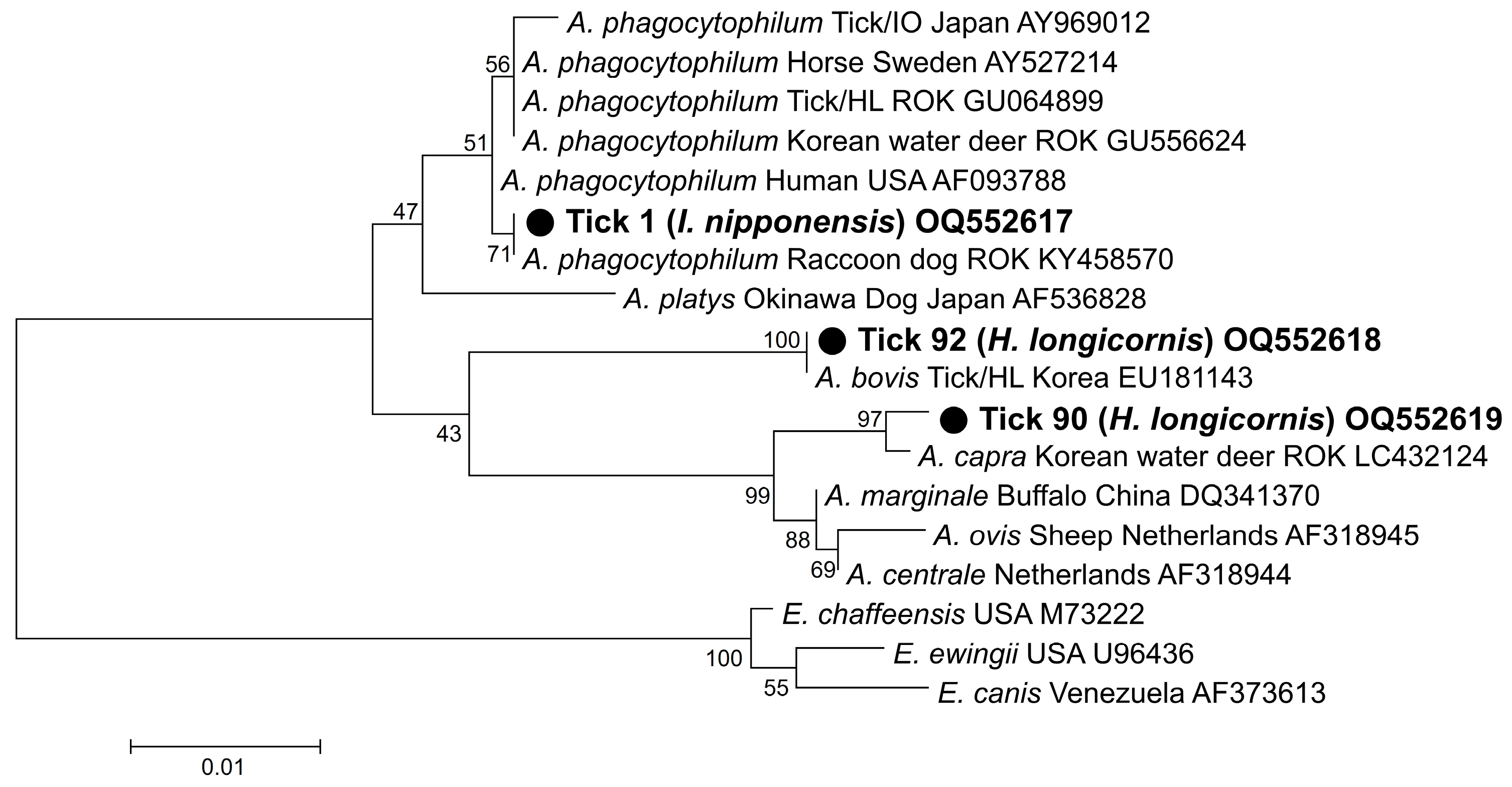 Pathogens 12 00802 g001 Pathogens 12 00802 g001