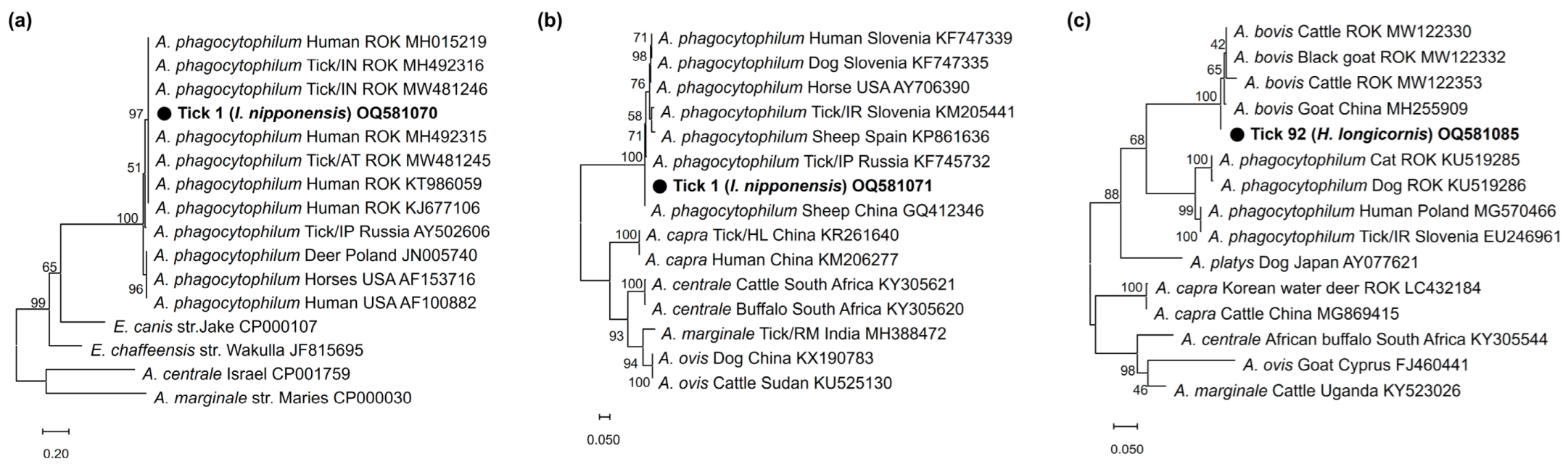 Pathogens 12 00802 g002 Pathogens 12 00802 g002