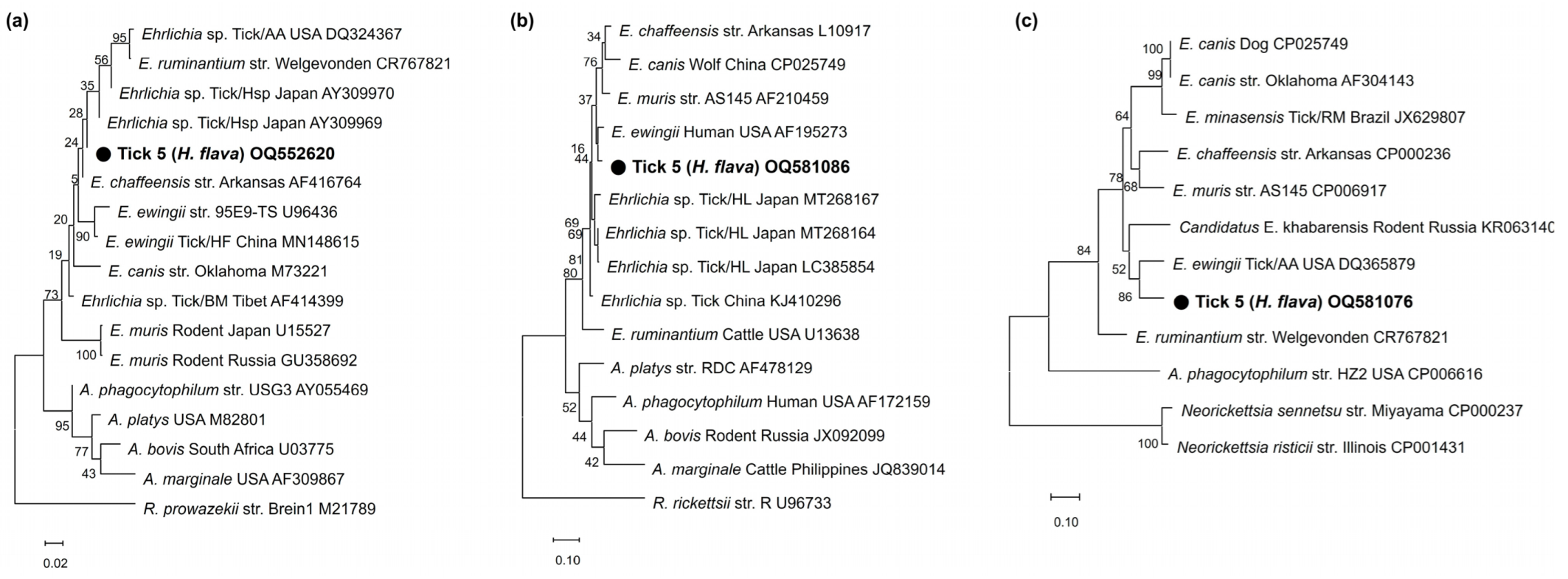 Pathogens 12 00802 g003 Pathogens 12 00802 g003