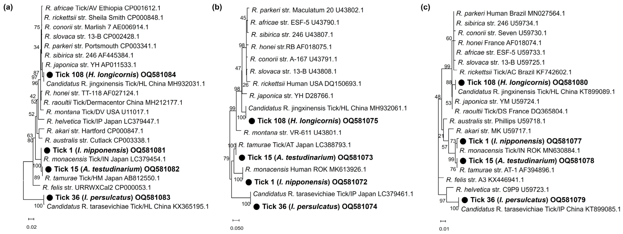 Pathogens 12 00802 g004 Pathogens 12 00802 g004