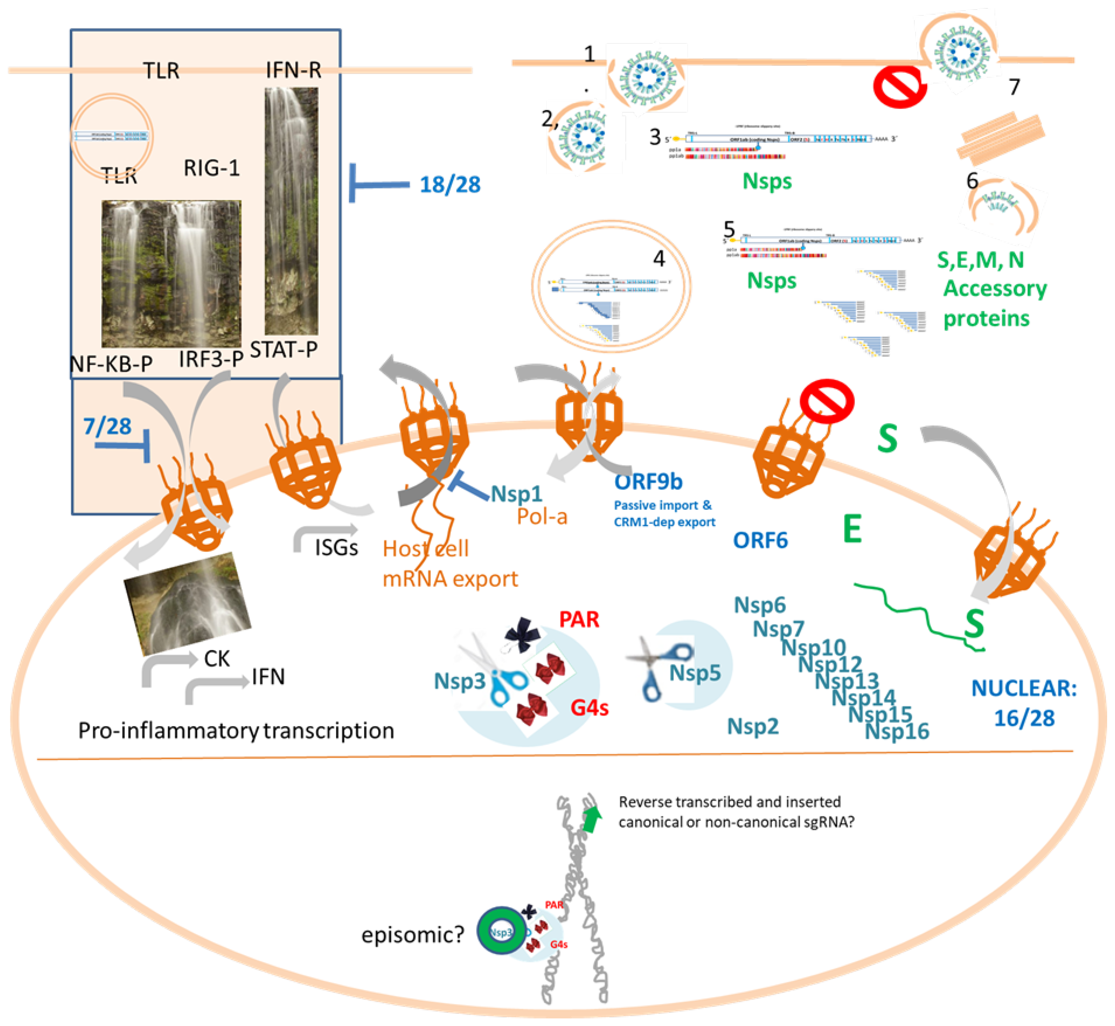 Pathogens 12 00806 g003 Pathogens 12 00806 g003