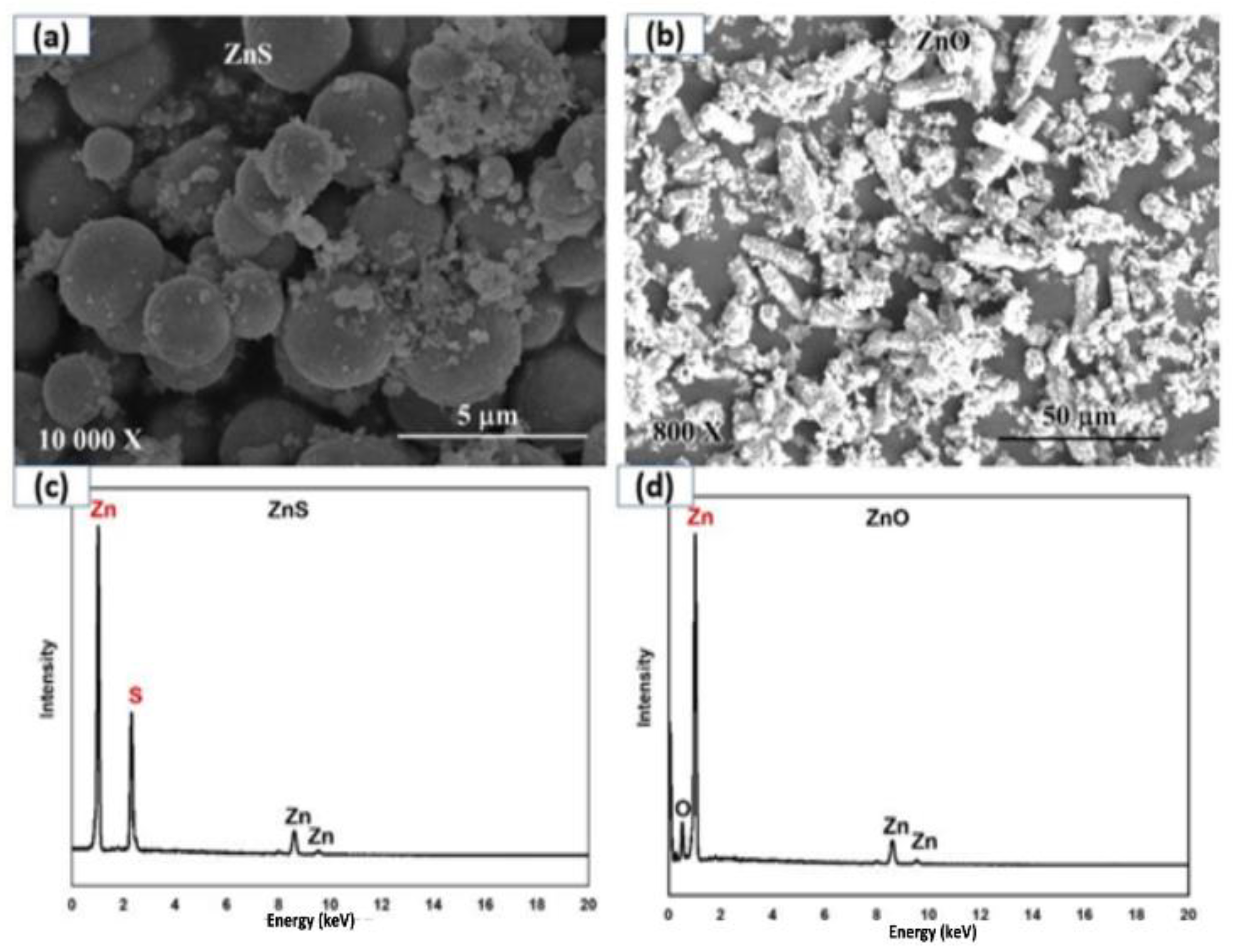 Pathogens 12 00807 g001 Pathogens 12 00807 g001