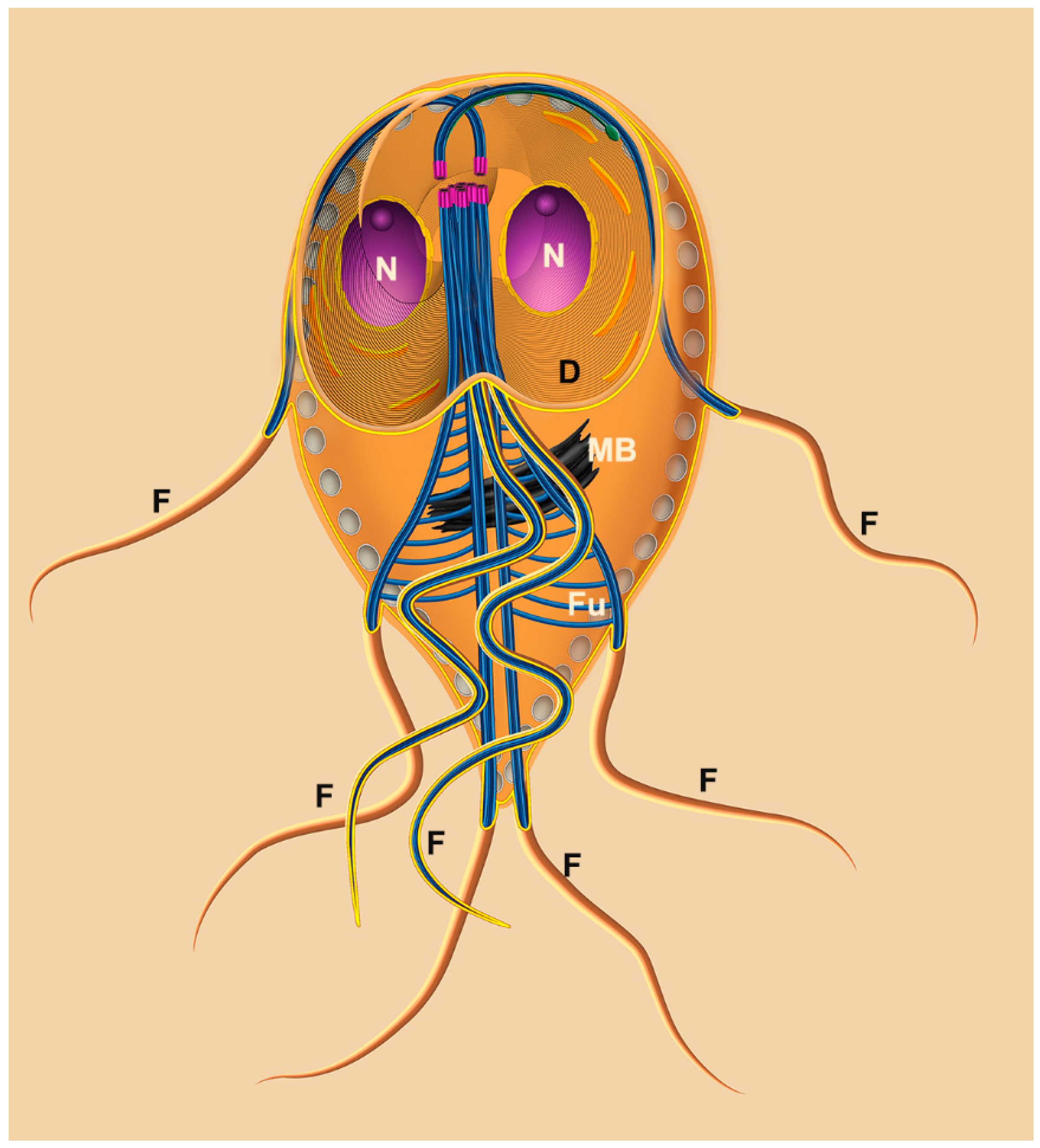 Pathogens 12 00810 g002