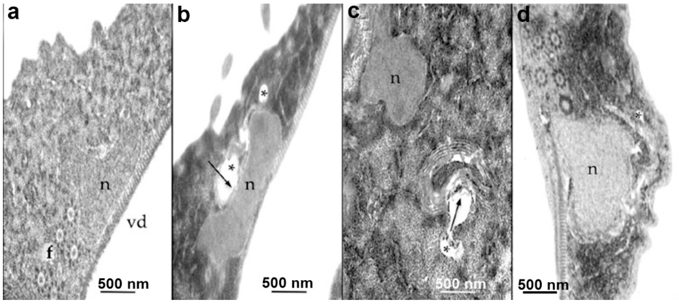 Pathogens 12 00810 g014