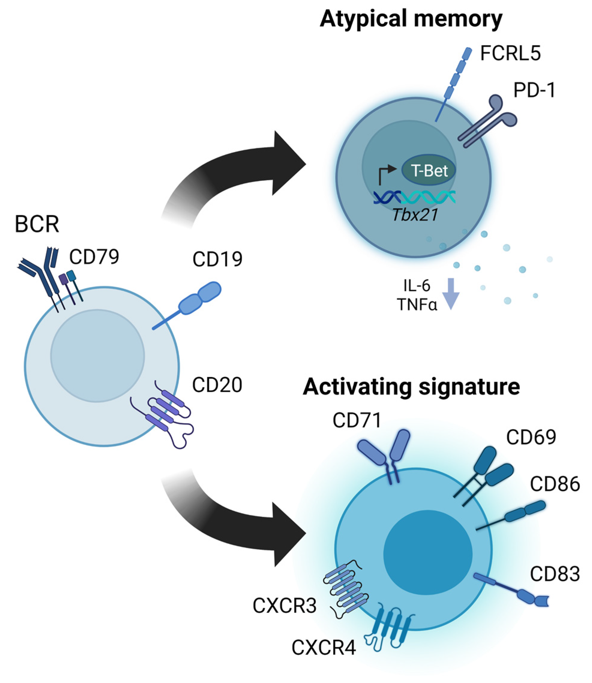 Pathogens 12 00815 g003 Pathogens 12 00815 g003