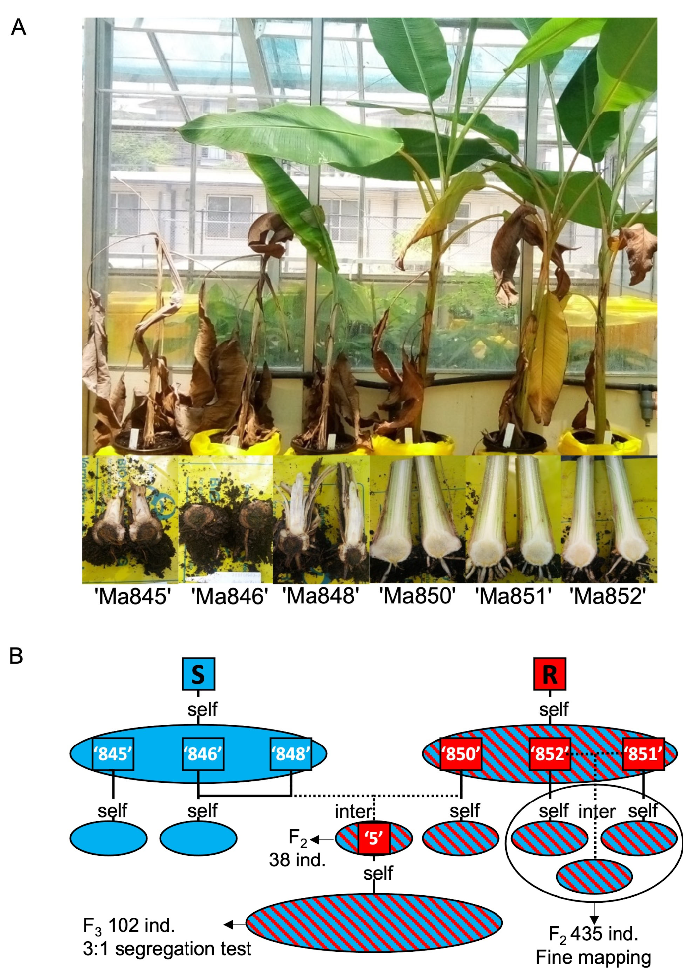 Pathogens 12 00820 g001