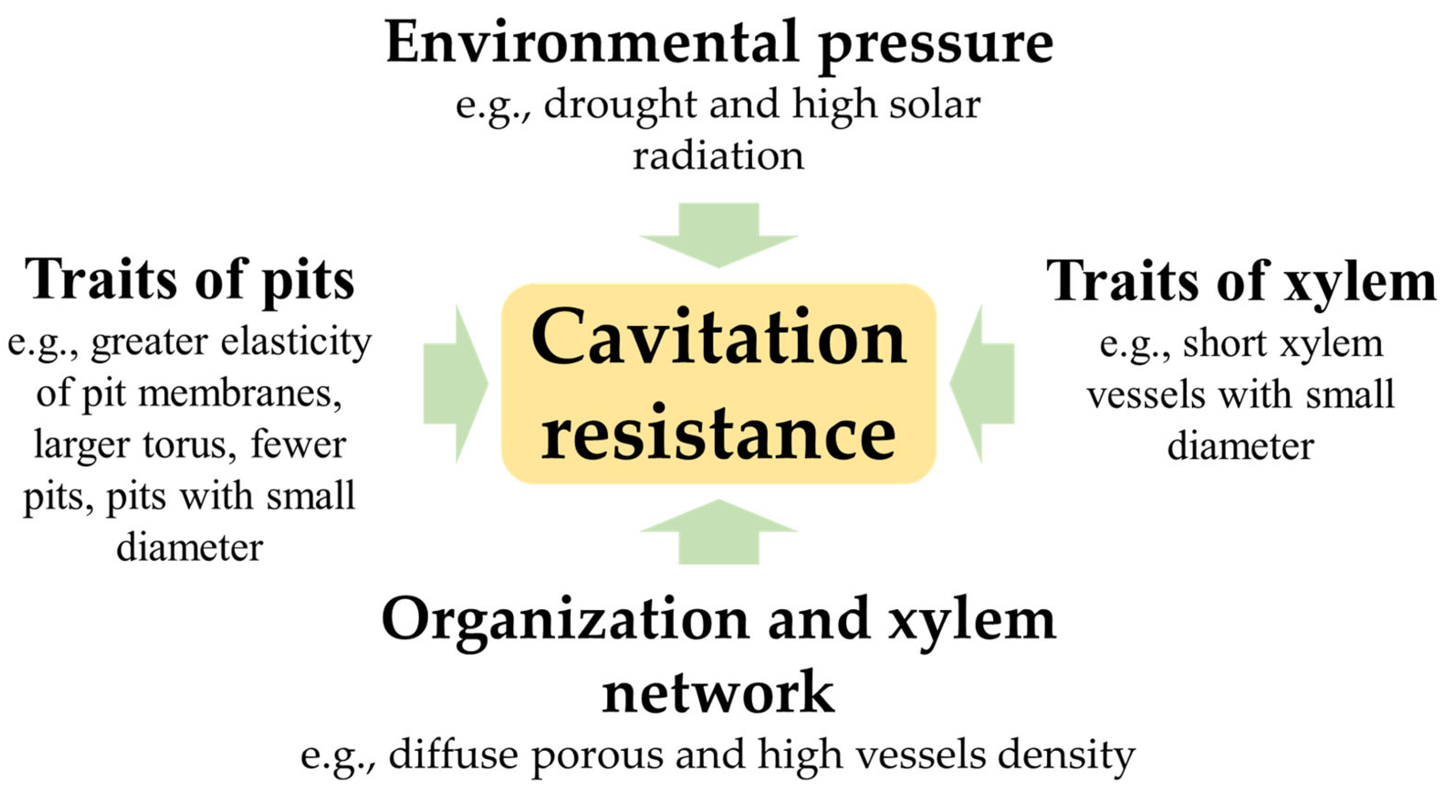 Pathogens 12 00825 g001