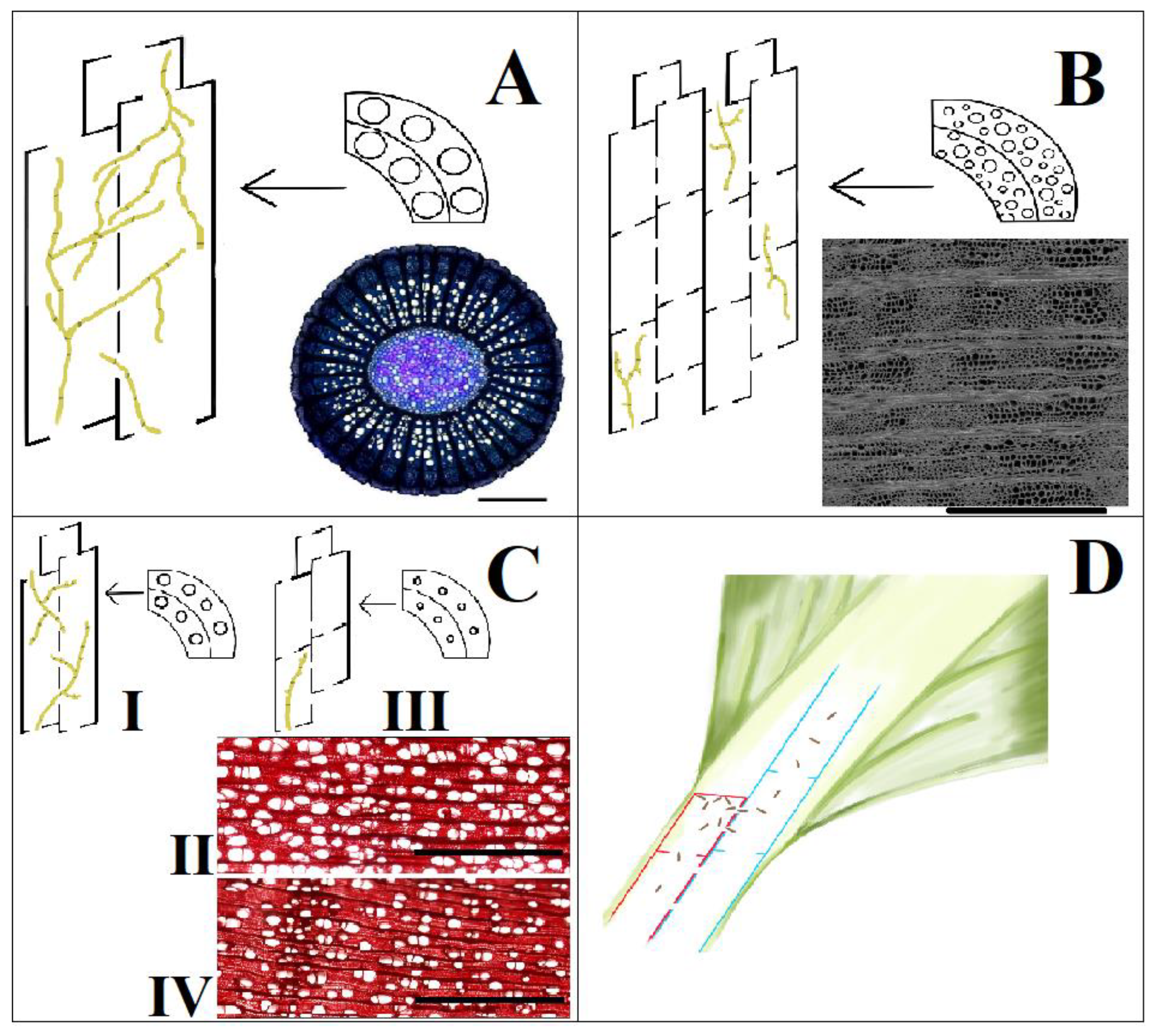 Pathogens 12 00825 g002
