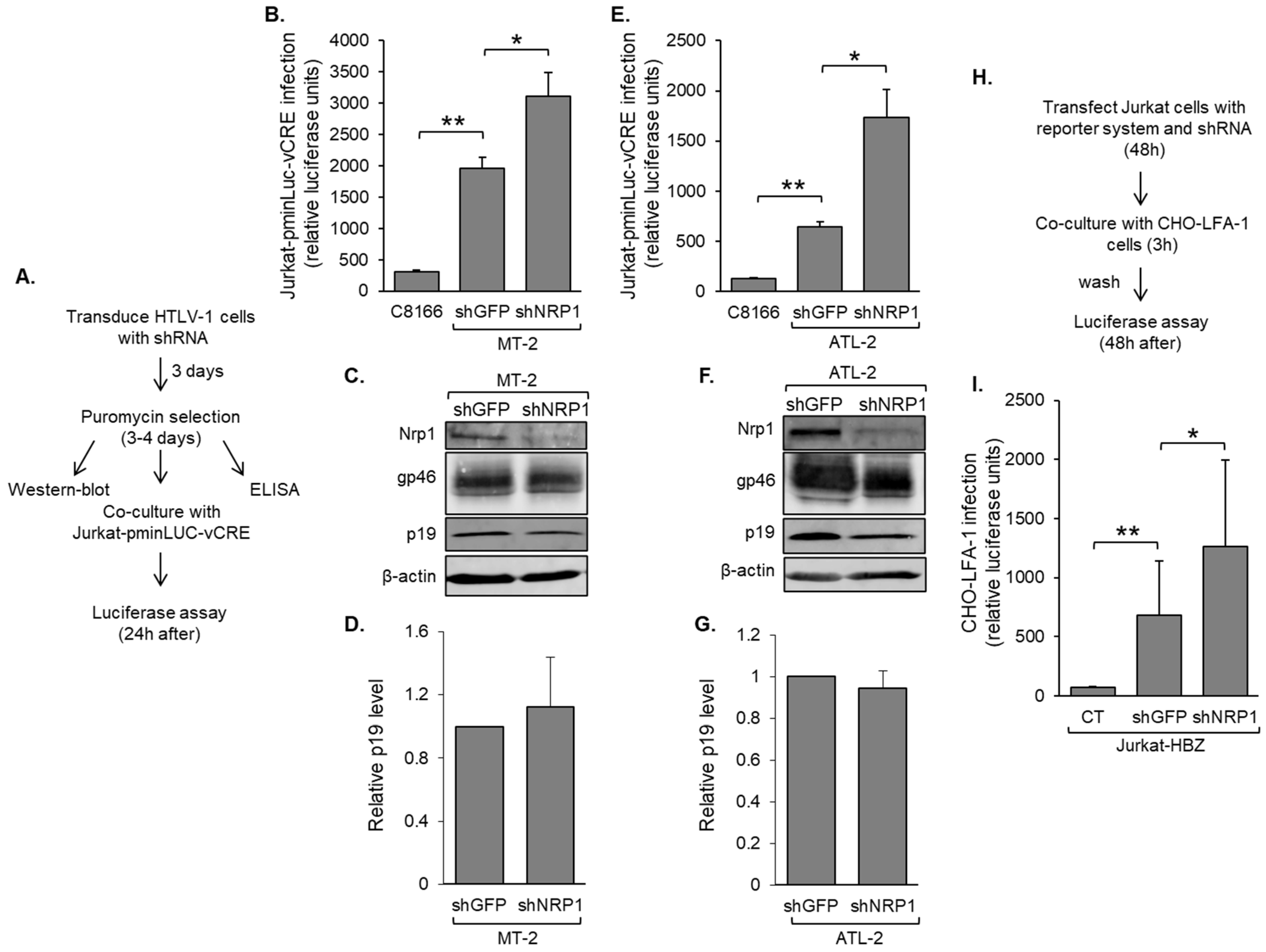 Pathogens 12 00831 g005