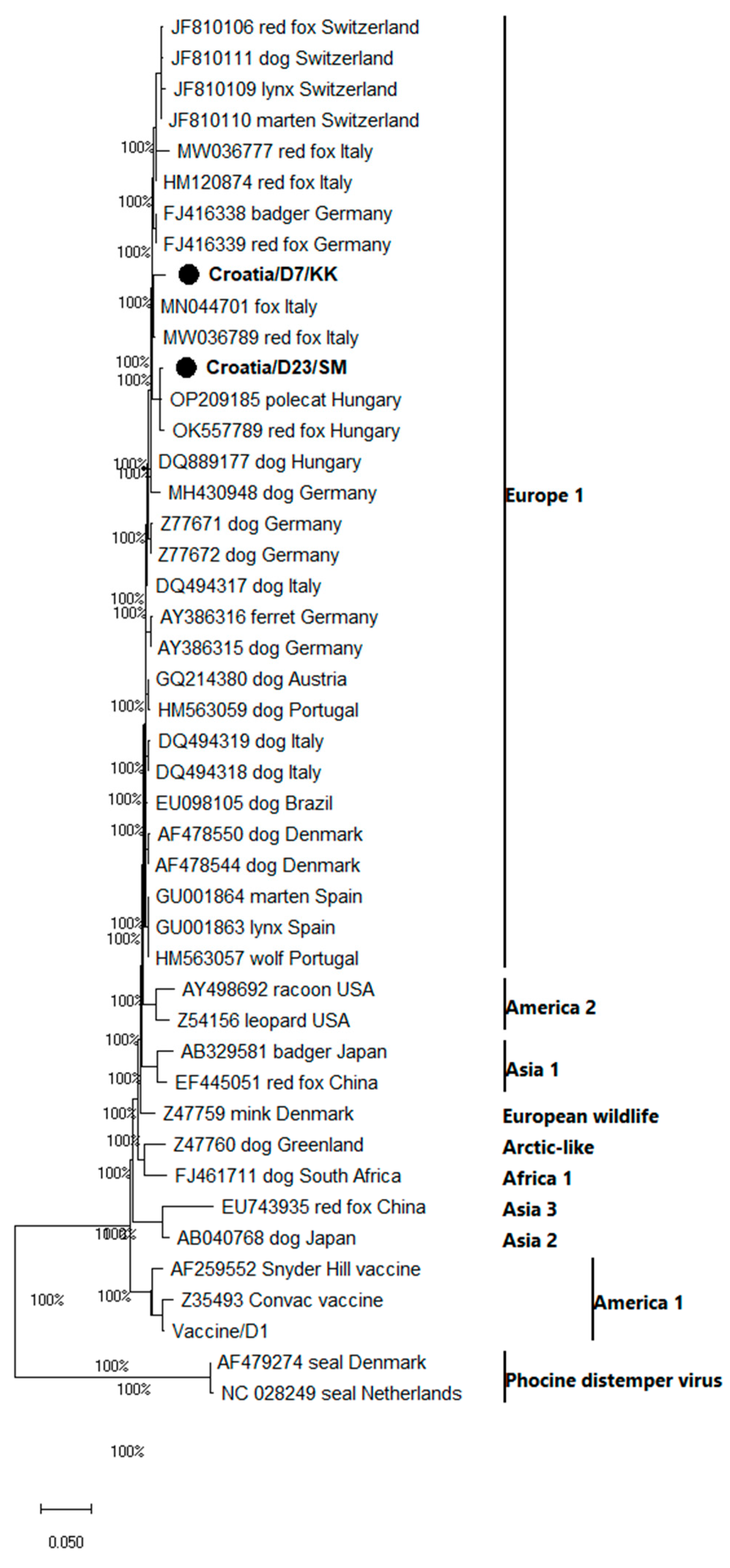 Pathogens 12 00833 g002