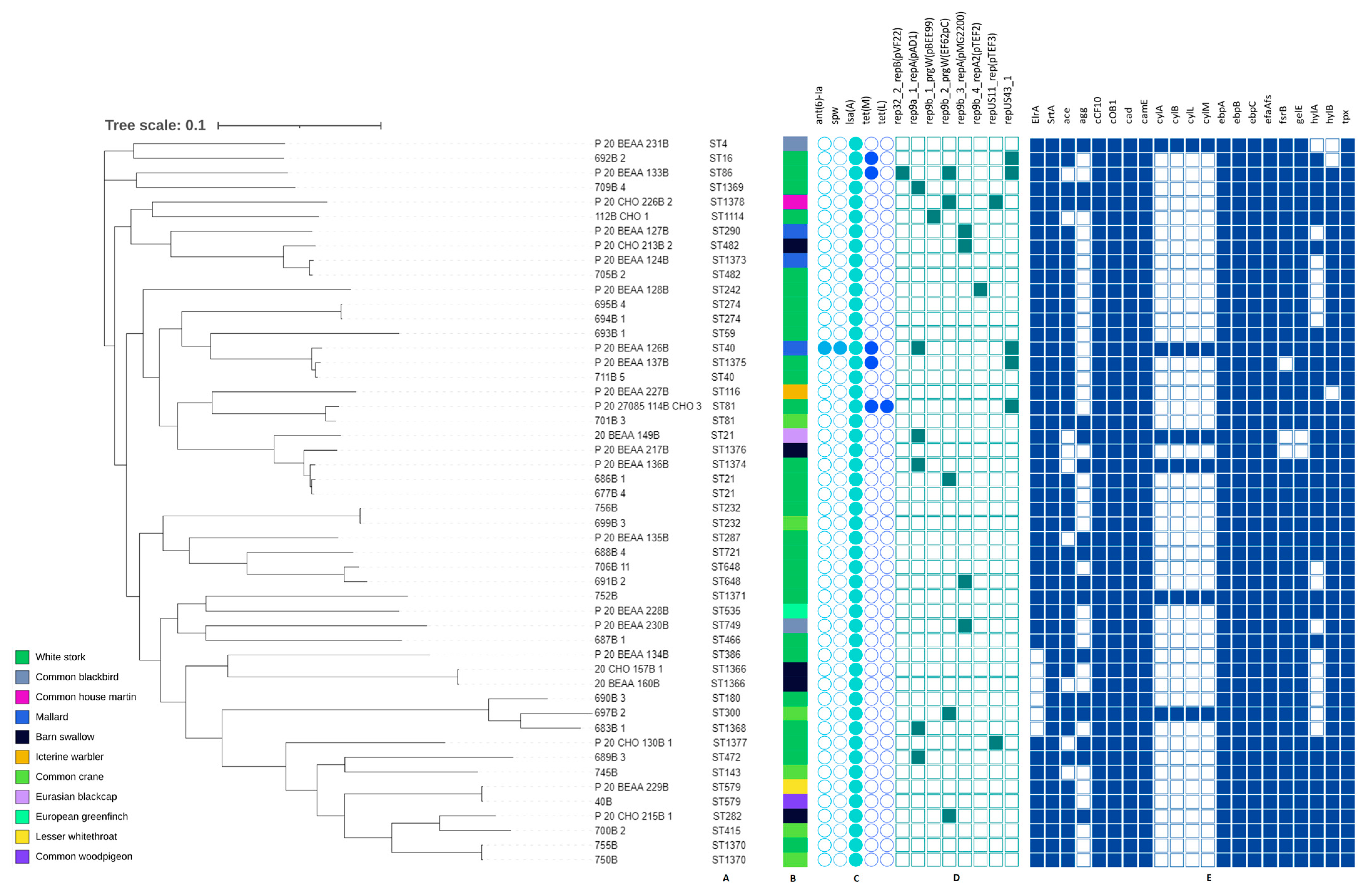 Pathogens 12 00836 g004