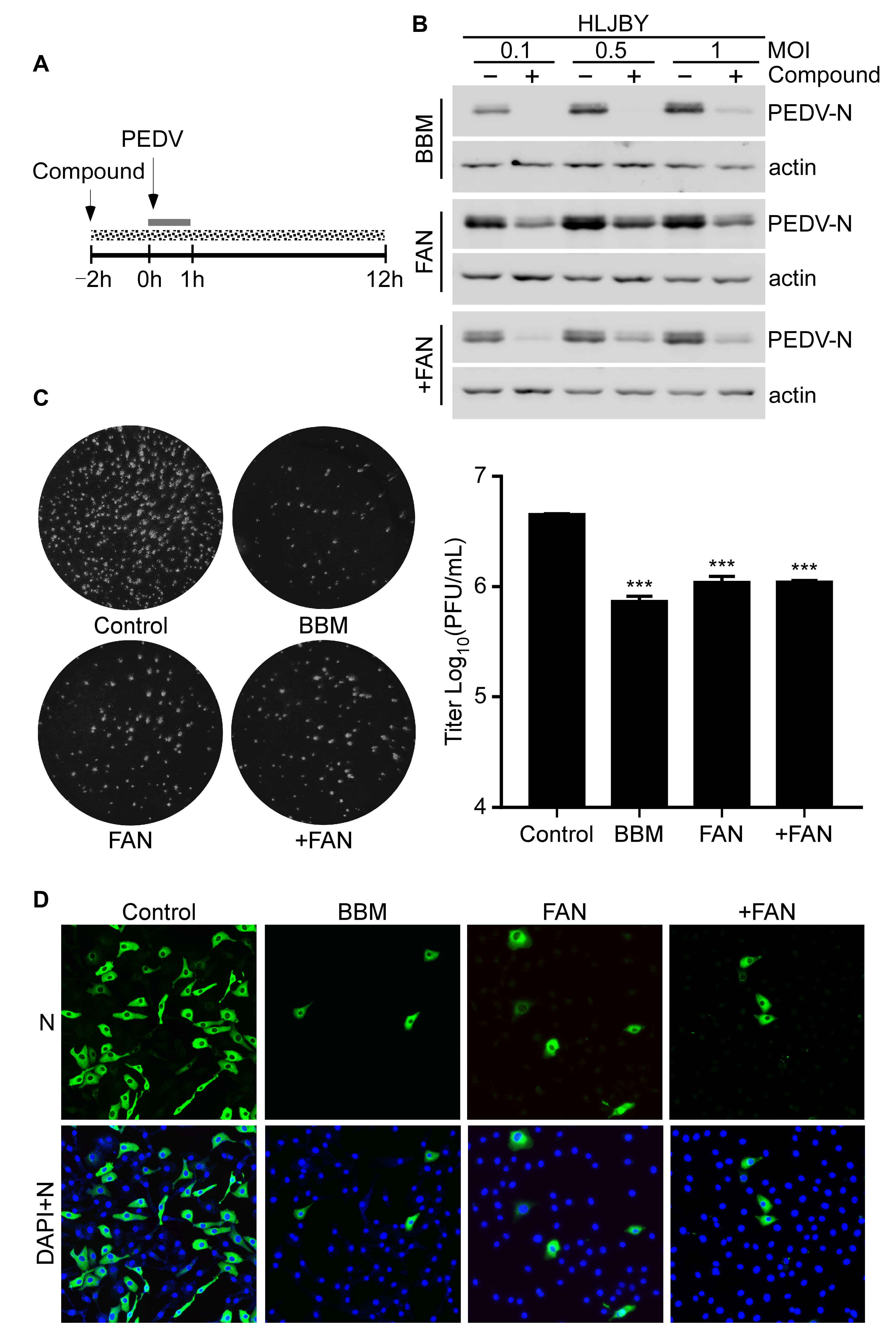 Pathogens 12 00845 g002