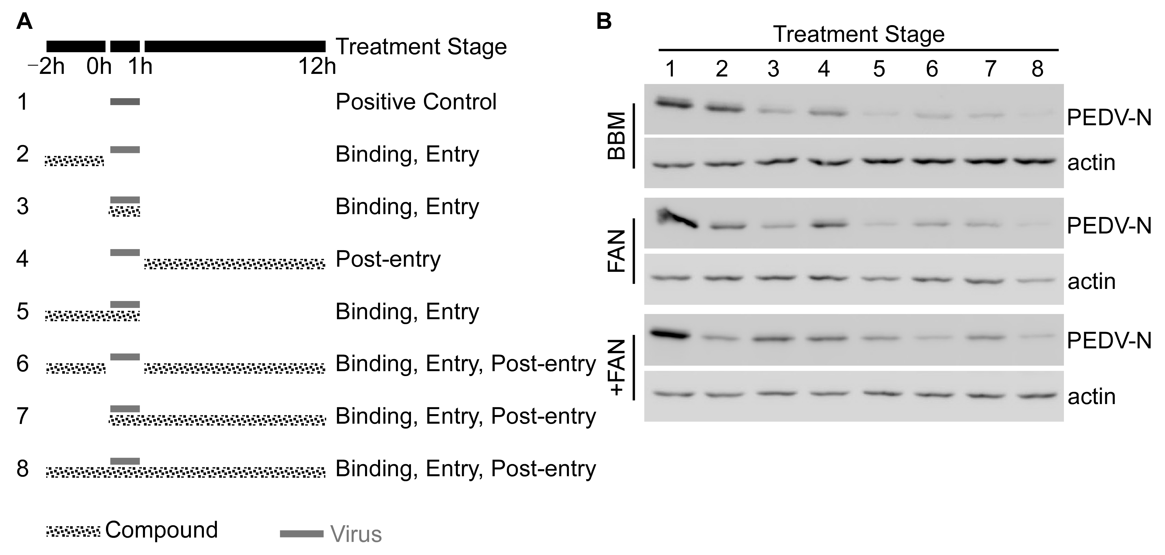 Pathogens 12 00845 g003