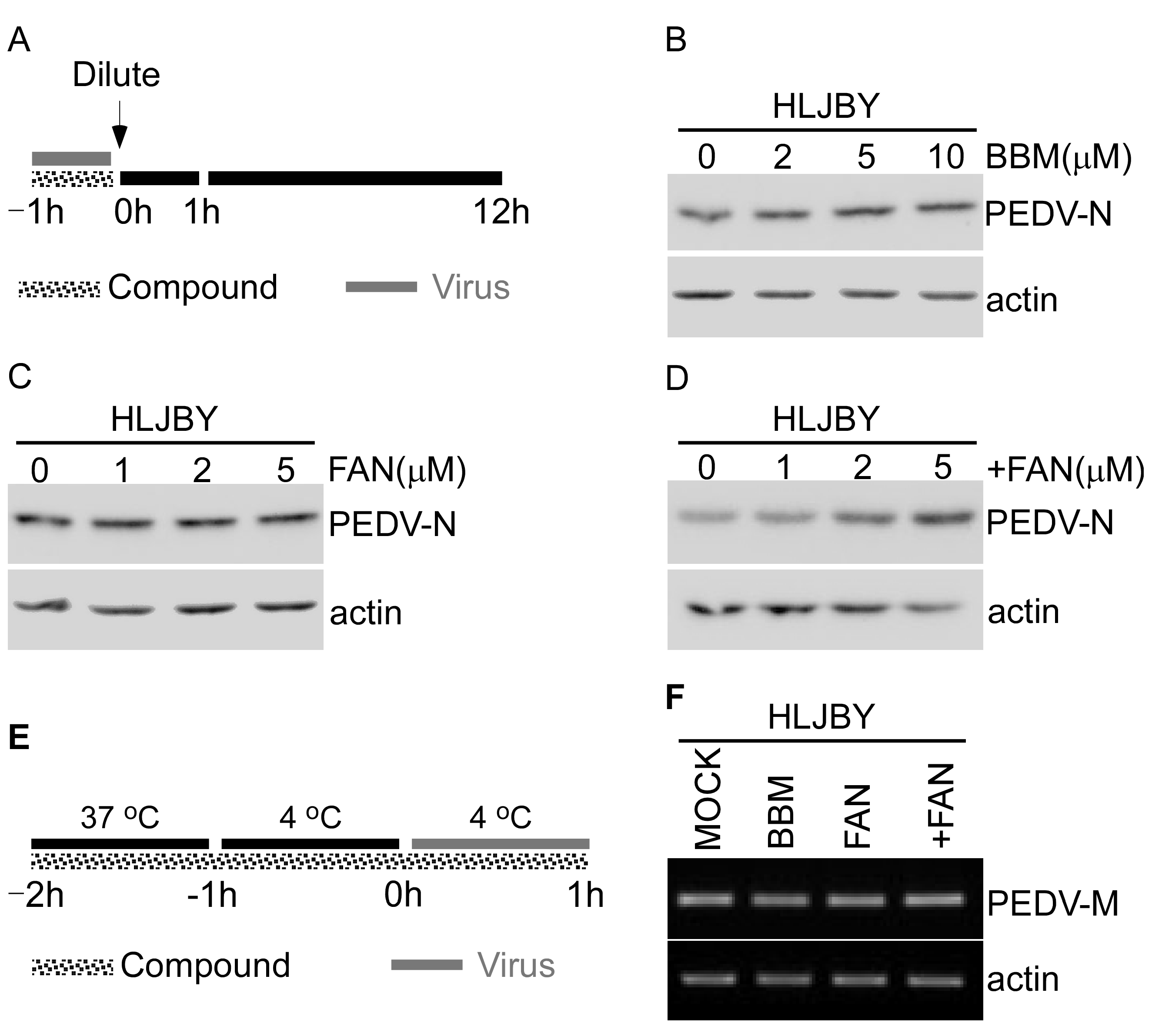 Pathogens 12 00845 g004