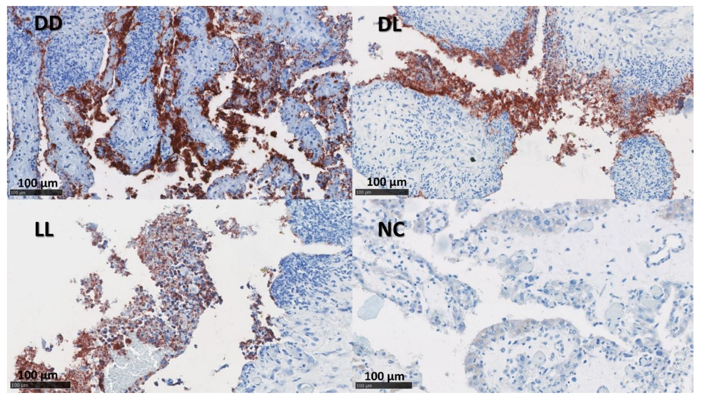 Pathogens 12 00846 g002 Pathogens 12 00846 g002