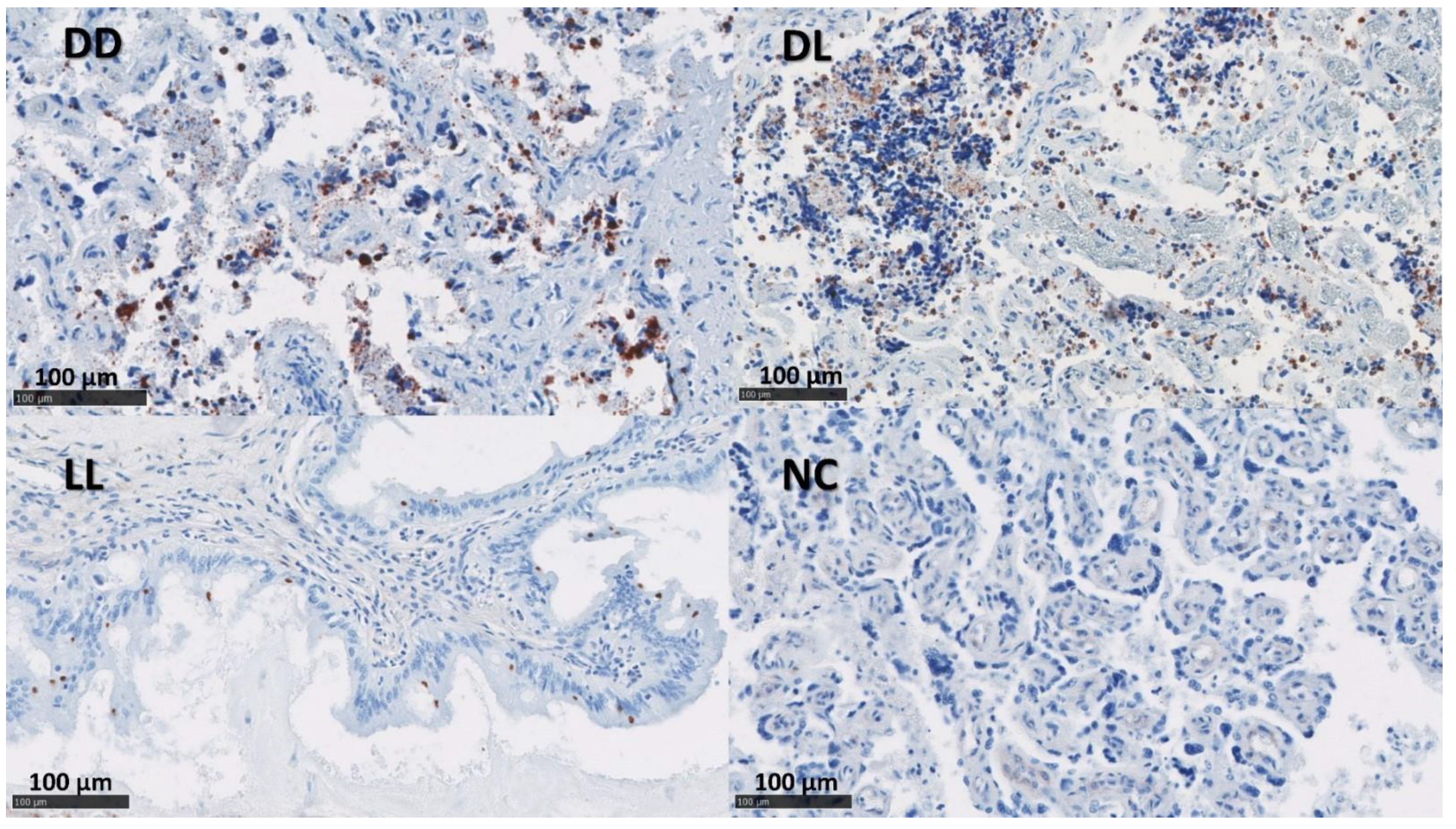 Pathogens 12 00846 g003 Pathogens 12 00846 g003