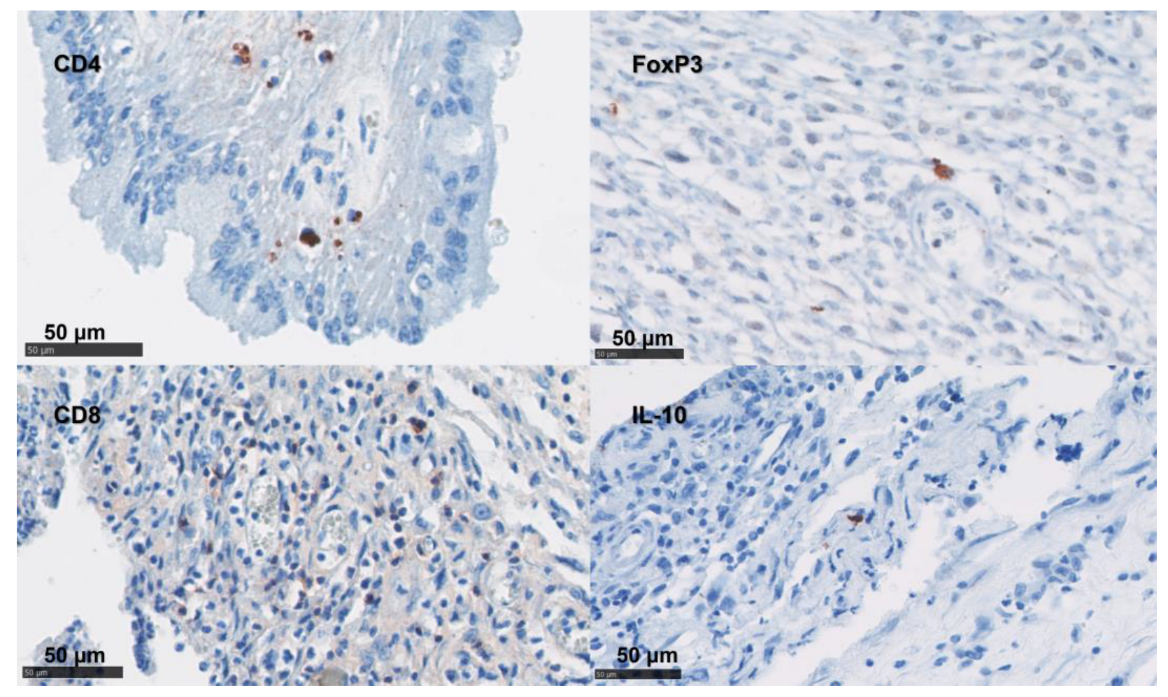 Pathogens 12 00846 g004 Pathogens 12 00846 g004