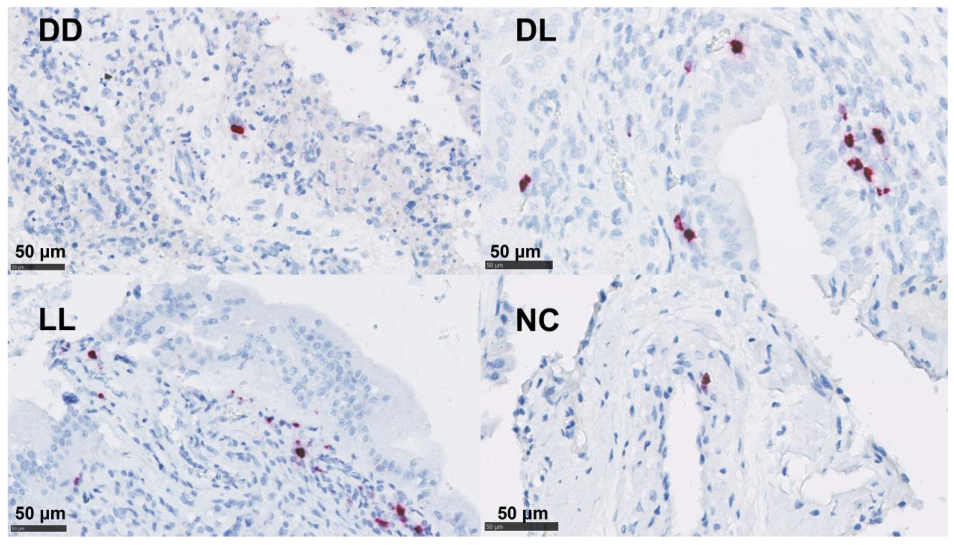 Pathogens 12 00846 g006 Pathogens 12 00846 g006