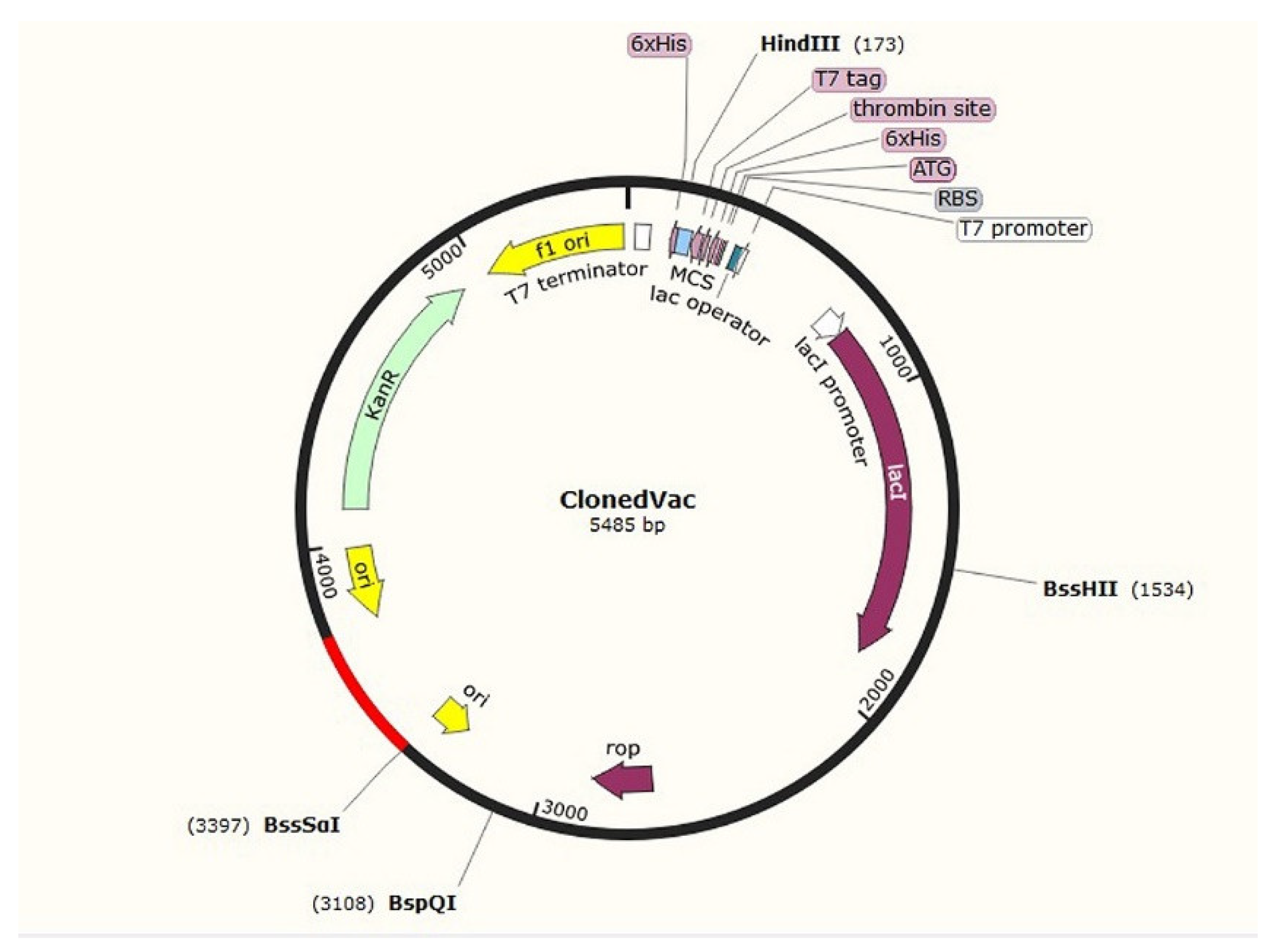 Pathogens 12 00857 g005 Pathogens 12 00857 g005