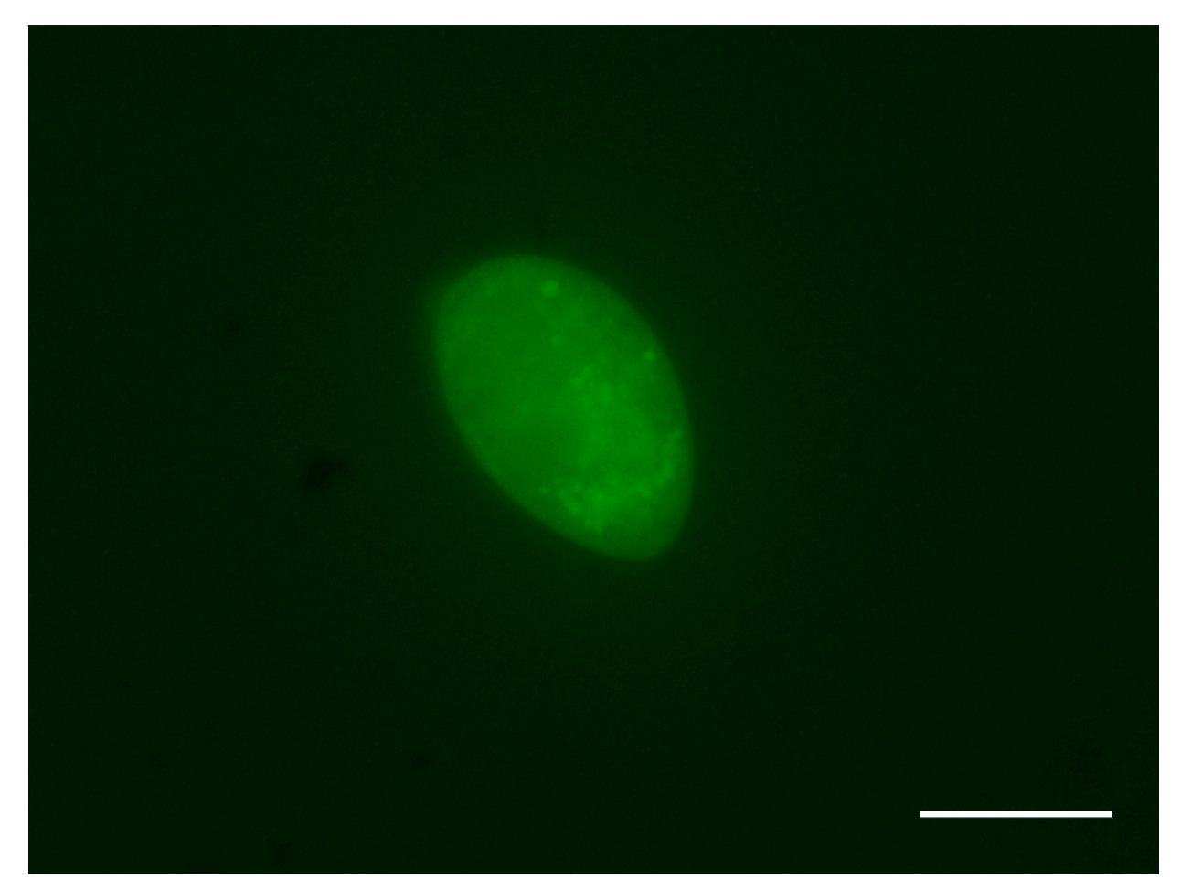 Pathogens 12 00860 g001 Pathogens 12 00860 g001