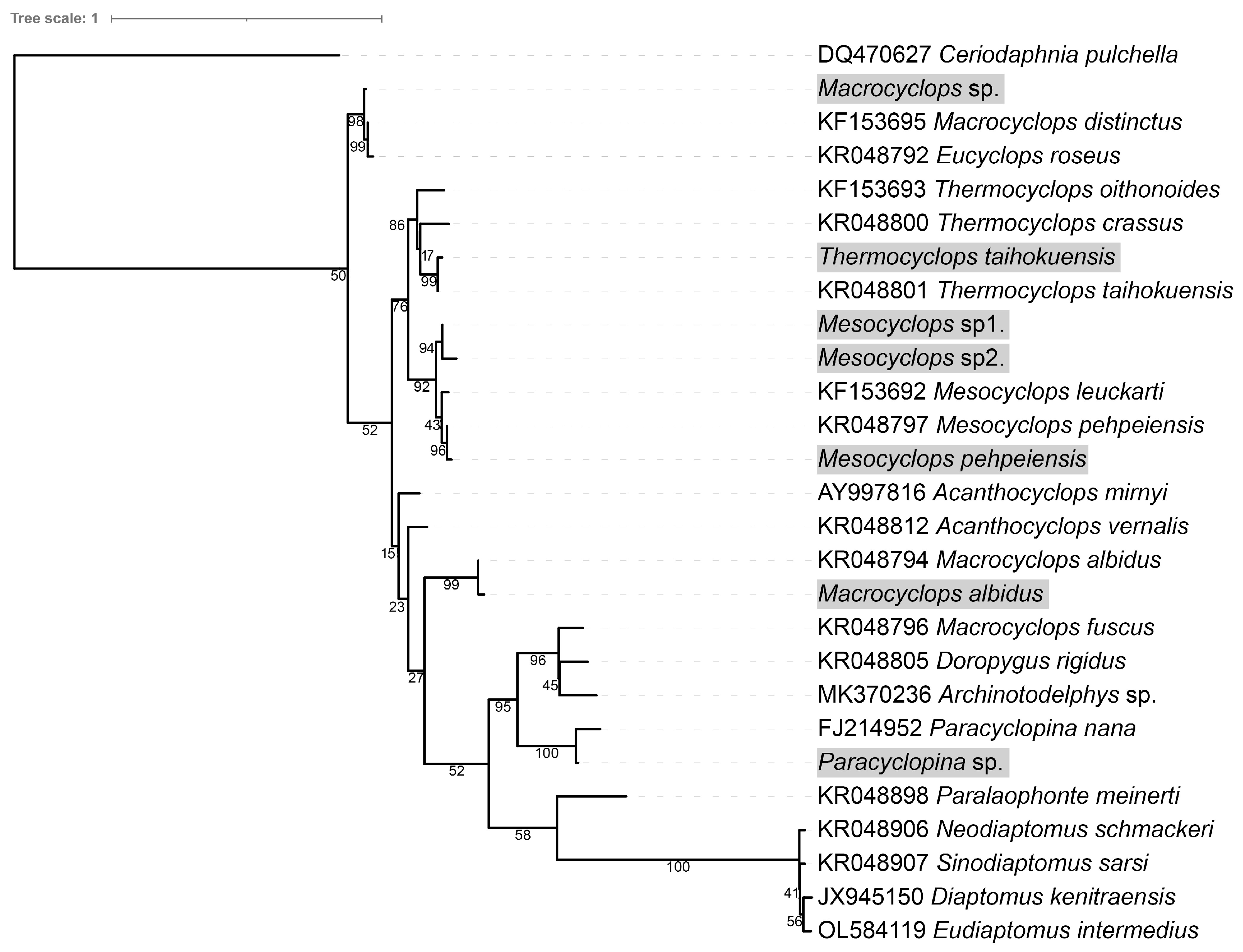 Pathogens 12 00860 g004 Pathogens 12 00860 g004