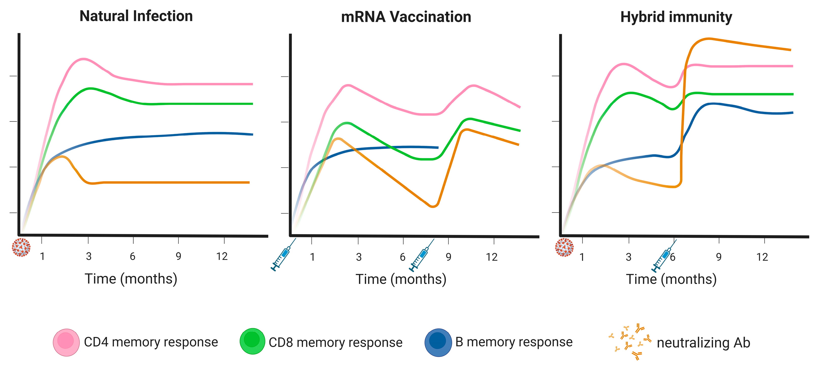 Immunogenicity and risks associated with impaired immune responses  following SARS-CoV-2 vaccination and booster in hematologic malignancy  patients: an updated meta-analysis