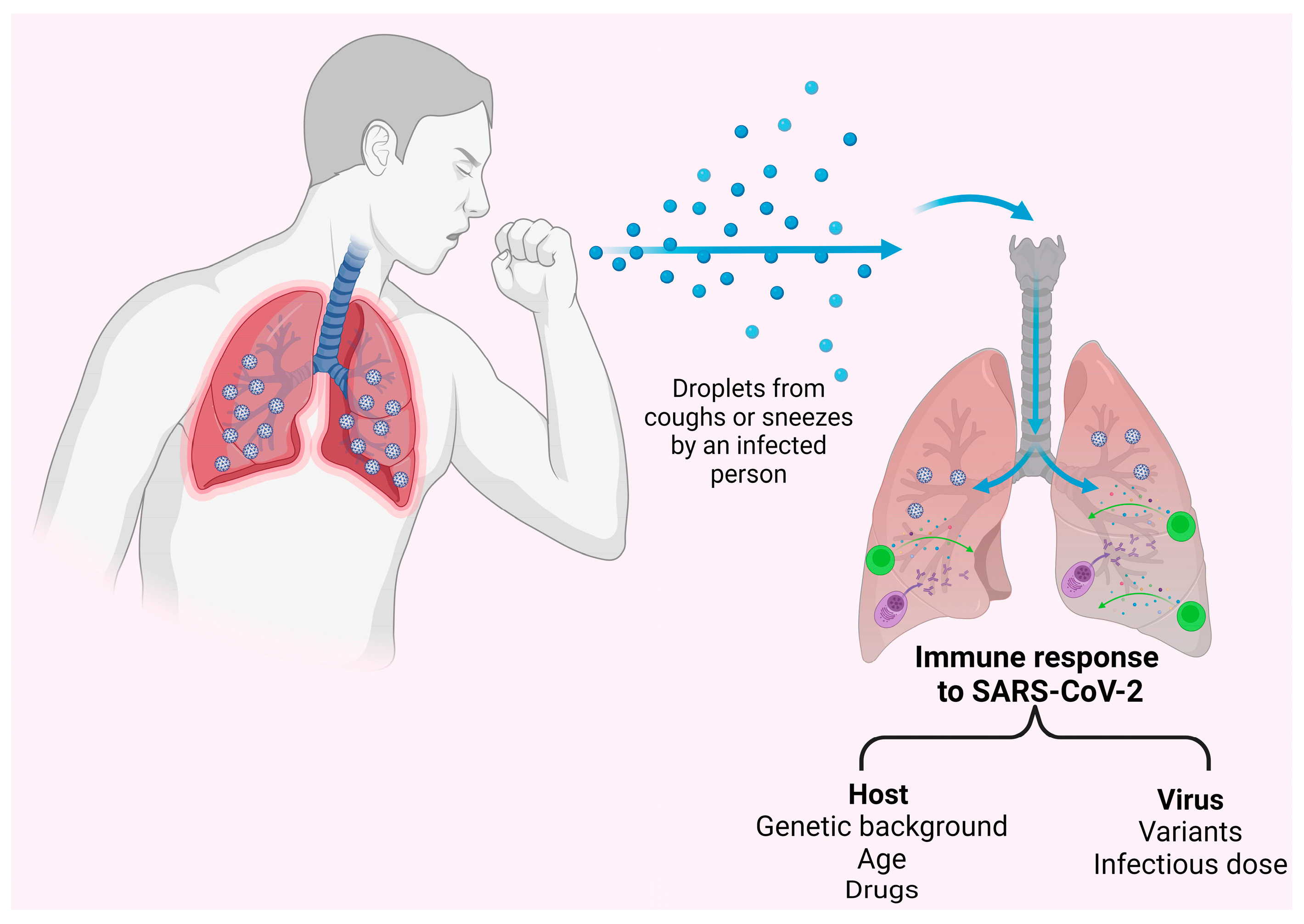 Pathogens 12 00862 g002 550