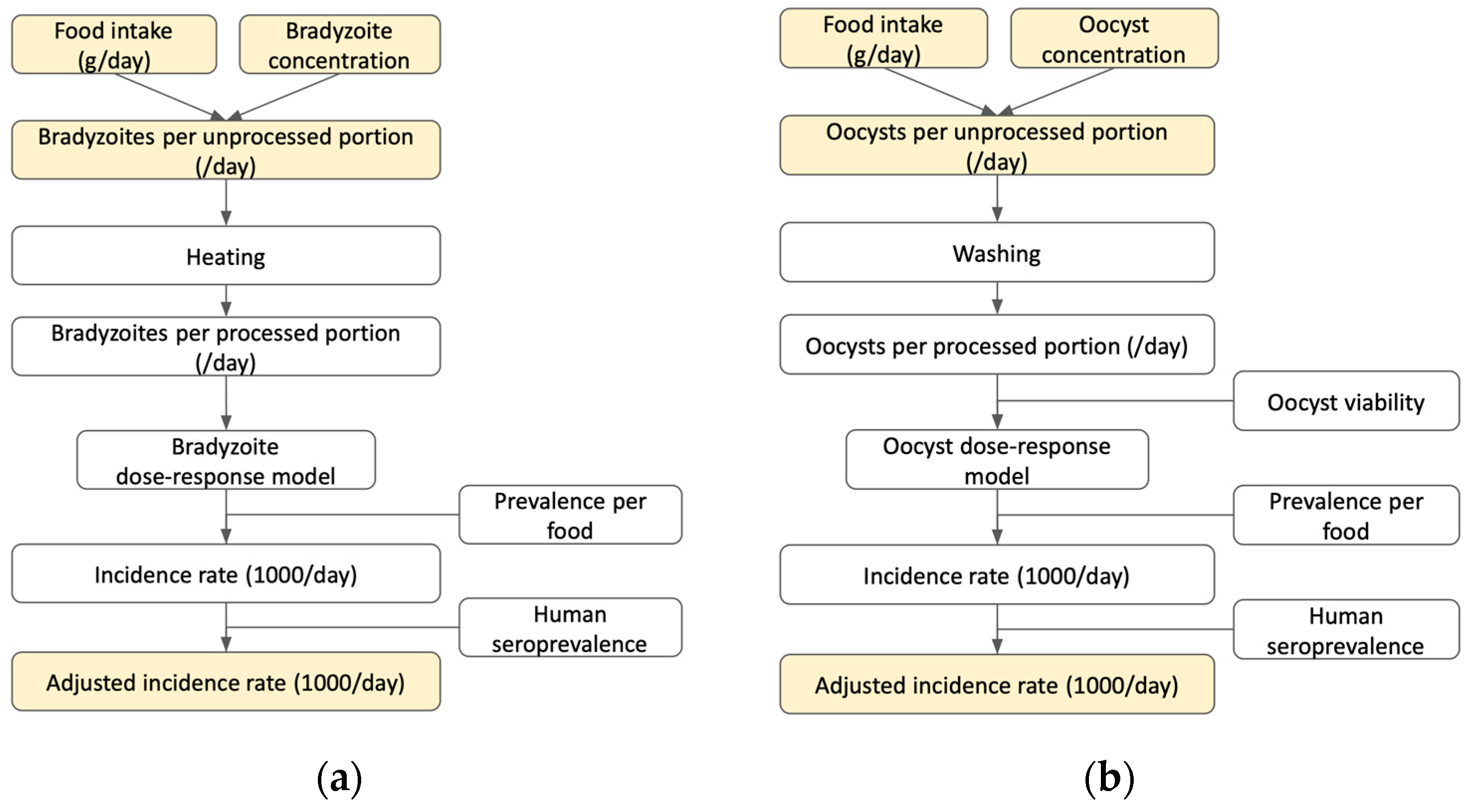 Pathogens 12 00870 g002 Pathogens 12 00870 g002