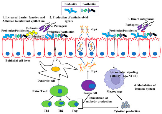 Probiotics and Postbiotics as an Alternative to Antibiotics